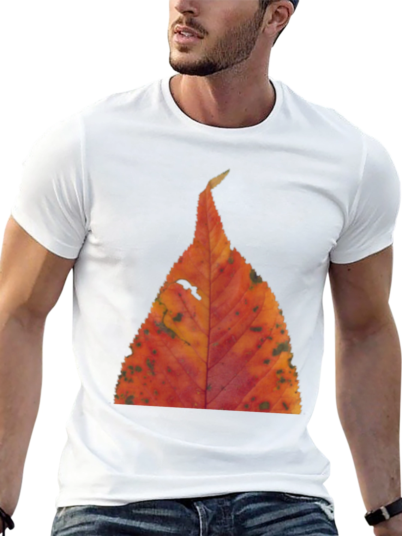 Black Fall Leaf Print Black T-Shirt view 13