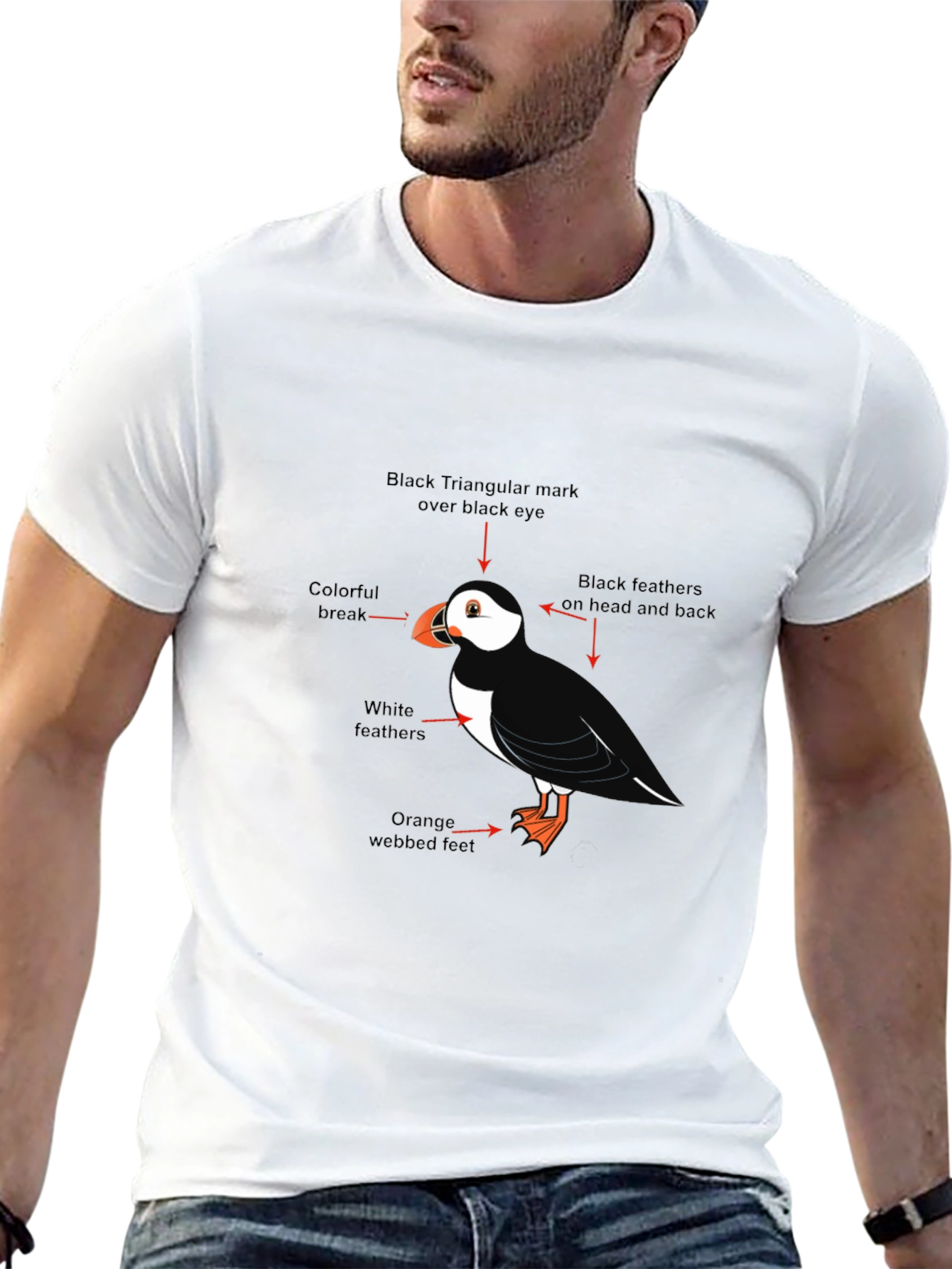 Black Puffin Bird Graphic Tee - Black Cotton Blend T-Shirt view 13