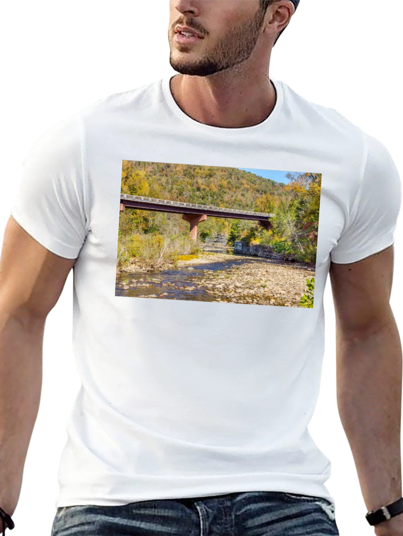 Black Nature Bridge Graphic Tee - Black Cotton Blend view 13