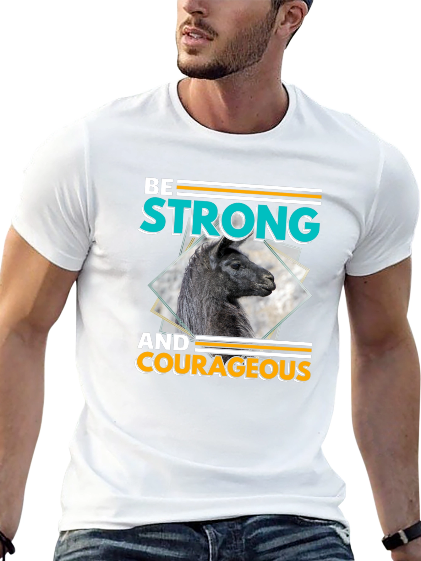Black Be Strong & Courageous Llama Graphic T-Shirt view 13