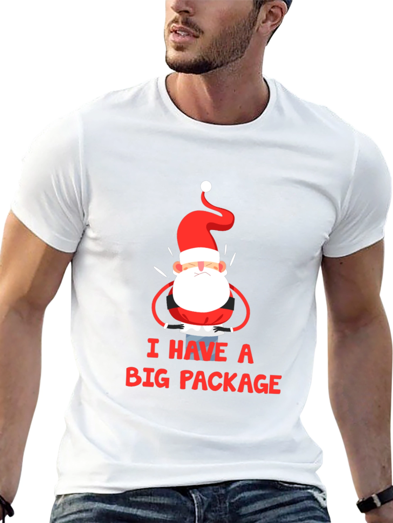 Black I Have a Big Package Graphic Tee Santa Christmas Holiday Shirt view 13