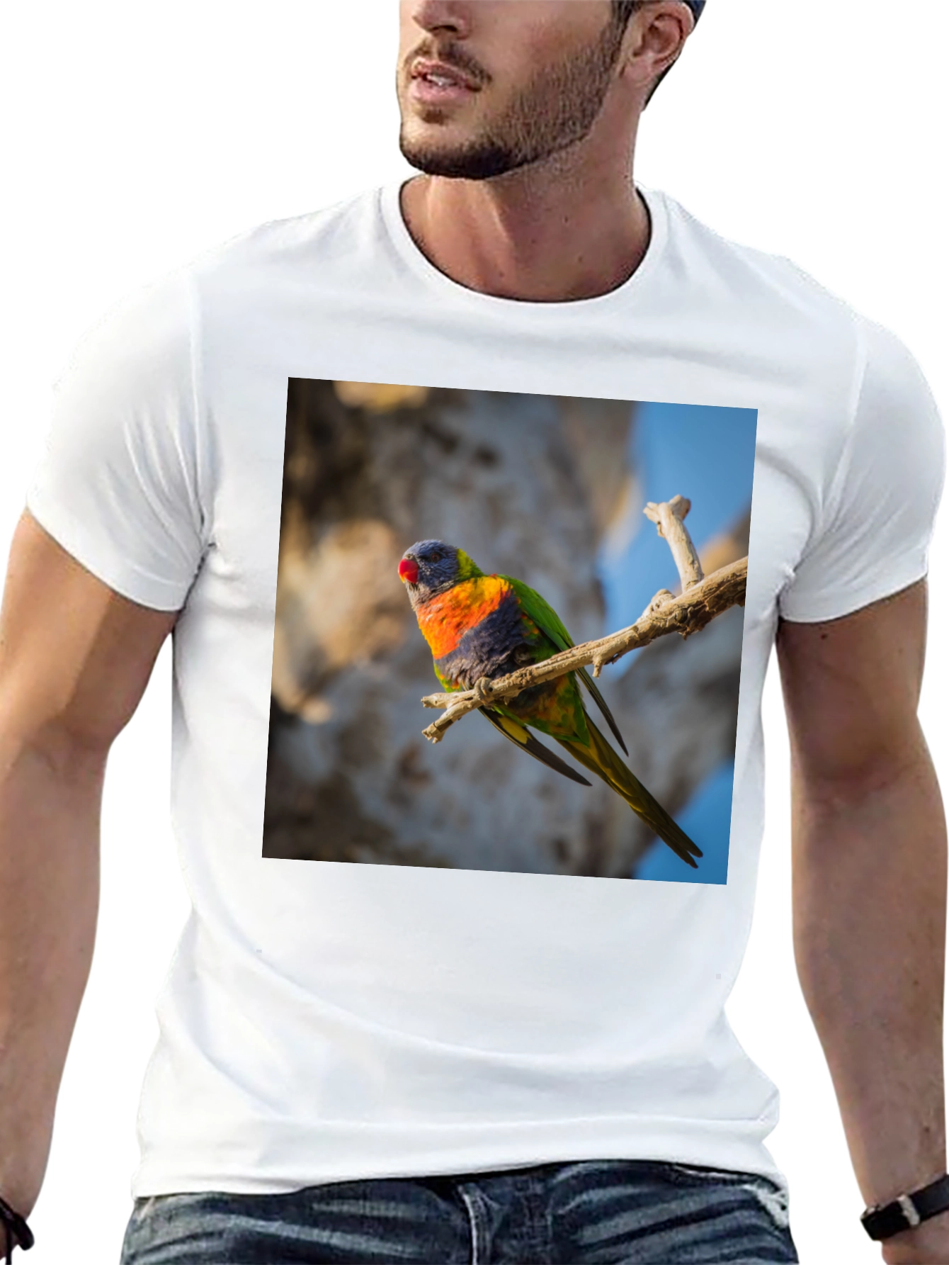 Black Rainbow Lorikeet T-Shirt - Nature Inspired Apparel view 13