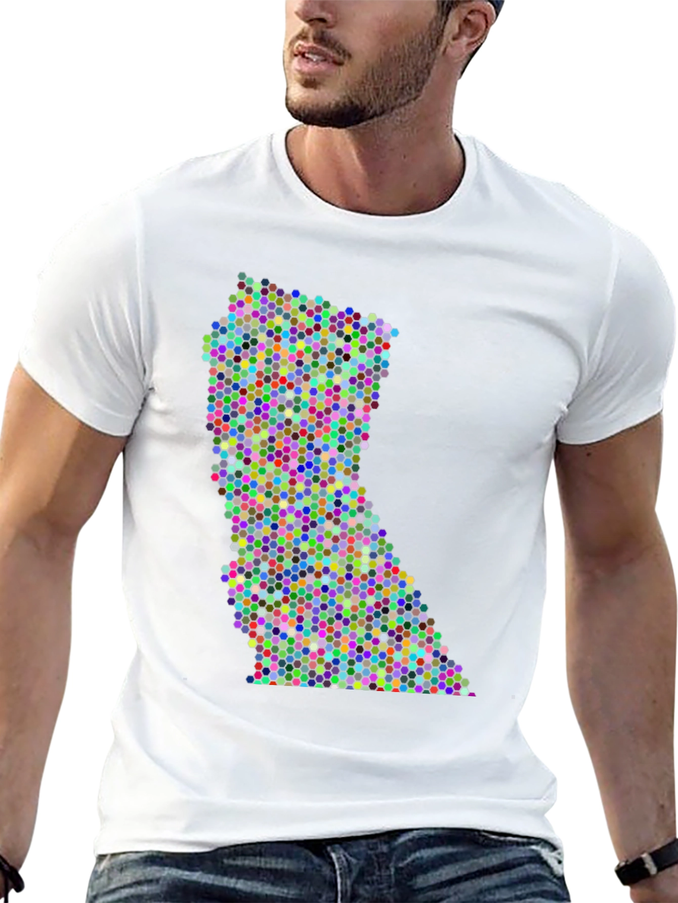 Black Colorful Dot Pattern State Graphic Tee view 13