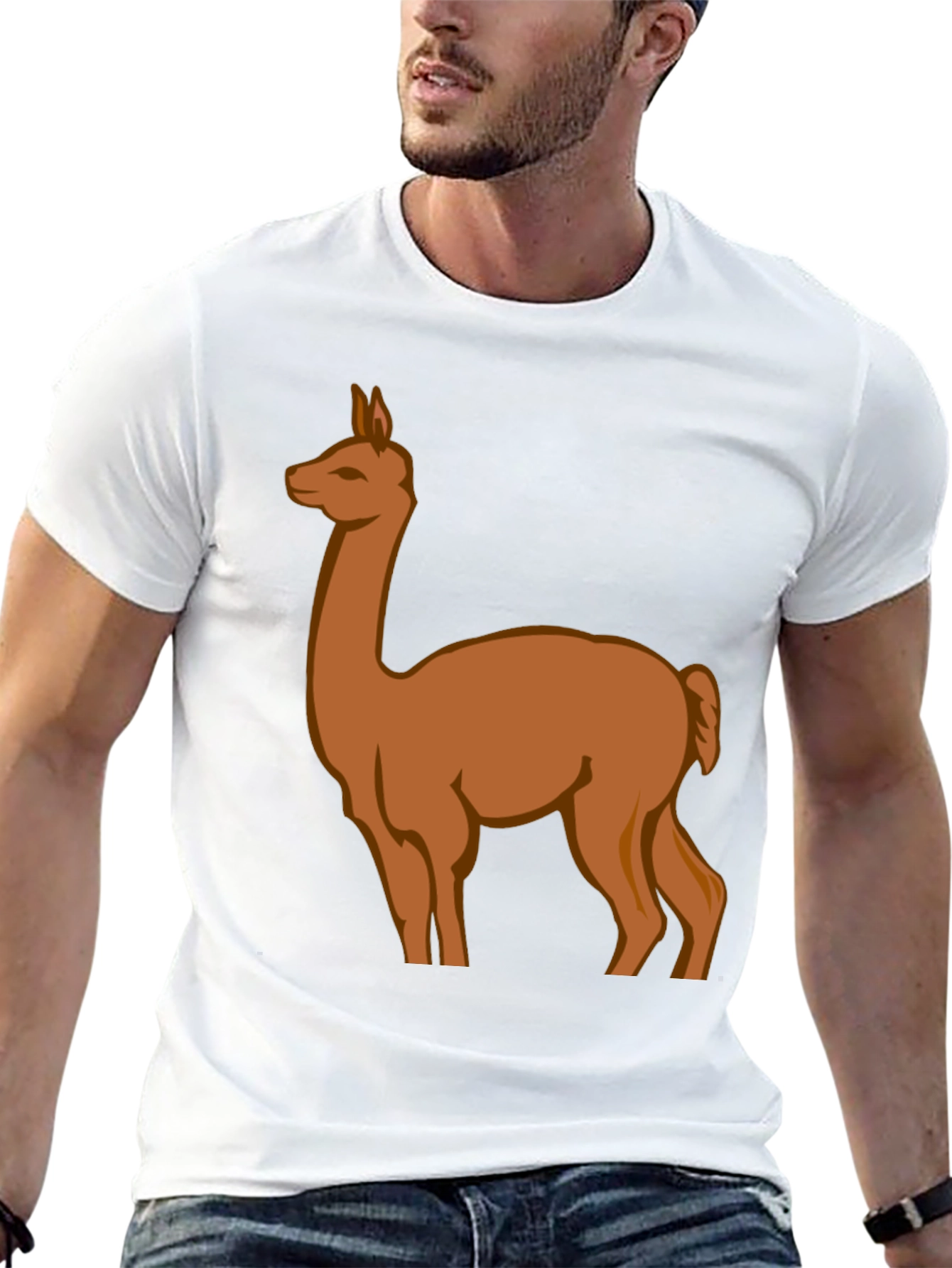 Black Llama Graphic Tee - Black Cotton Blend view 13