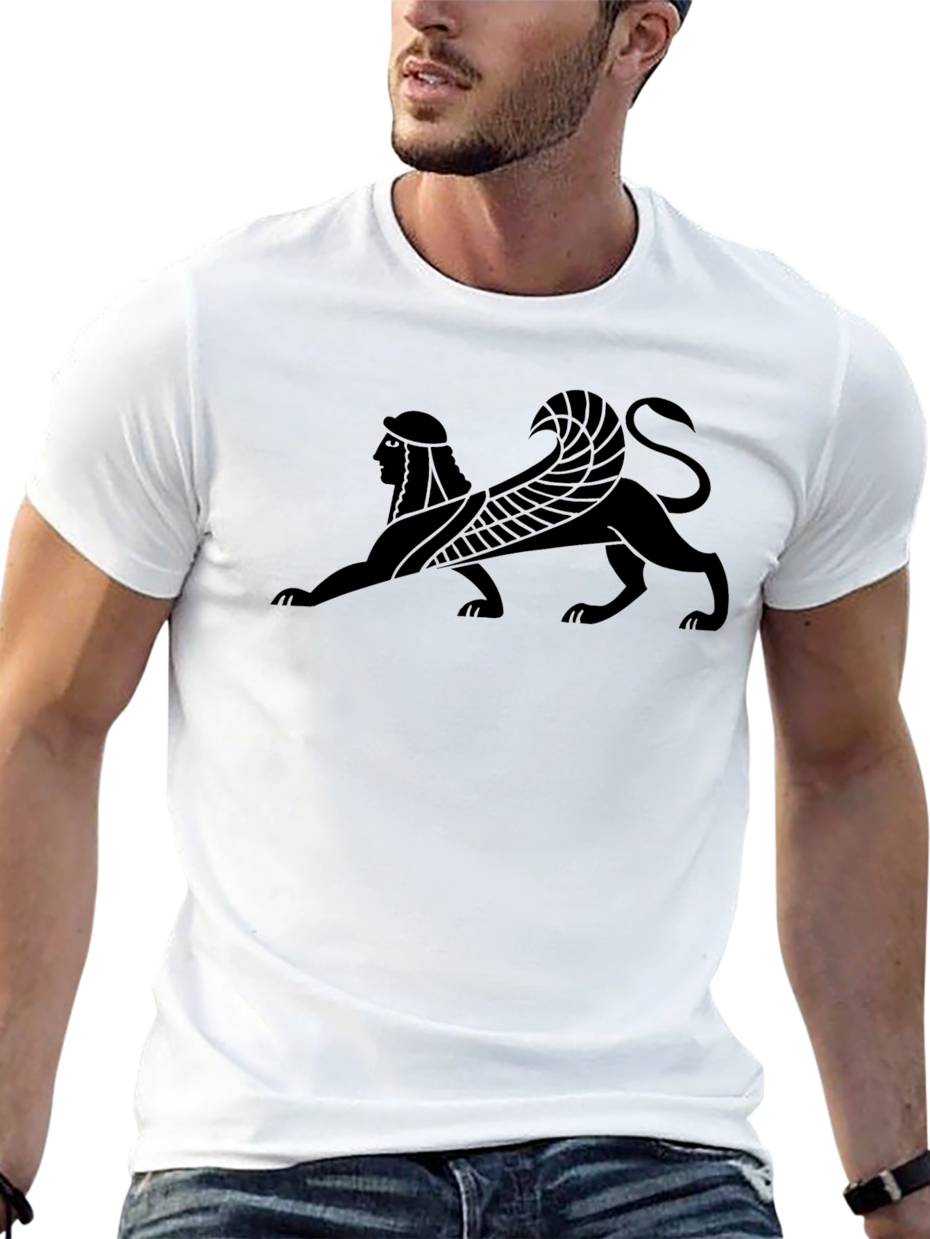 Black Sphinx Graphic Tee - Black Cotton T-Shirt view 13