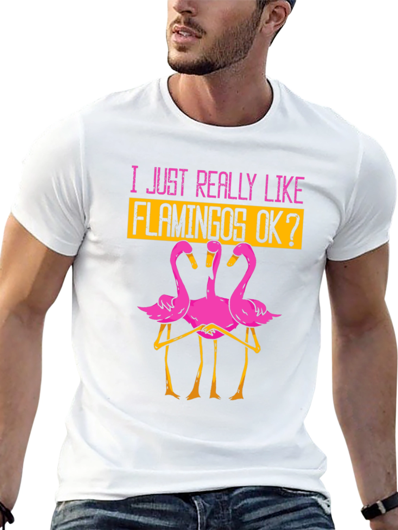 Black Funny Flamingo Graphic T-Shirt - I Just Really Like Flamingos OK? view 13