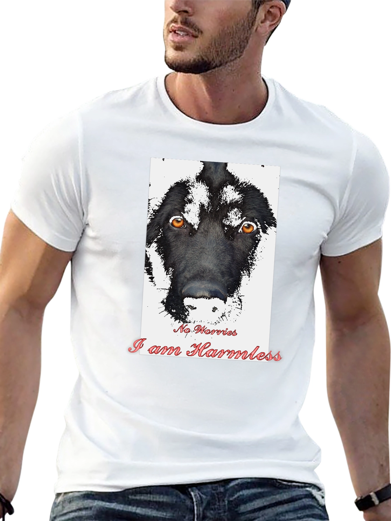 Black Harmless Dog Graphic T-Shirt view 13