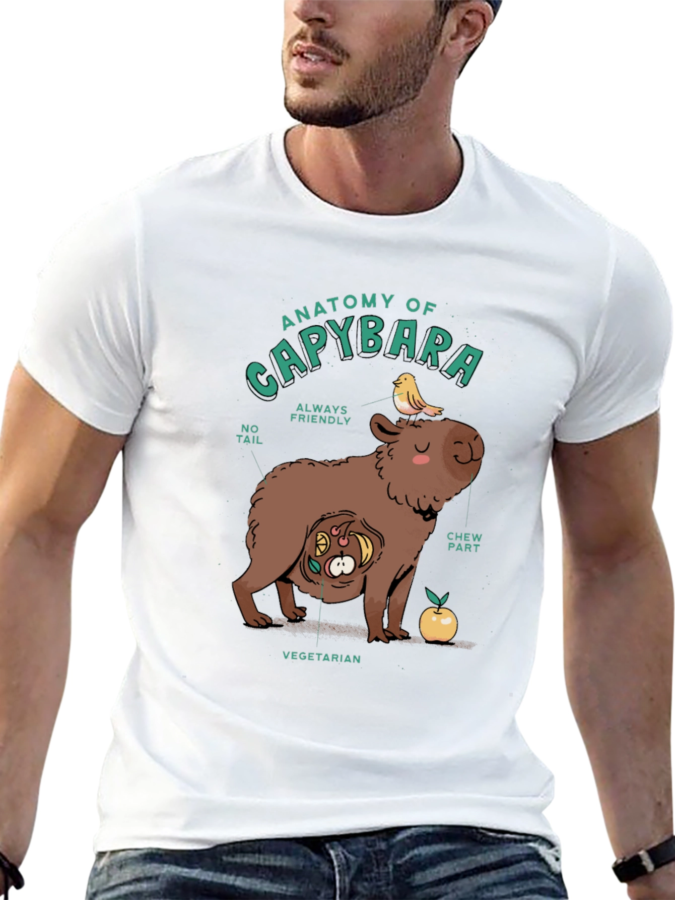 Black Anatomy of a Capybara Graphic T-Shirt view 13