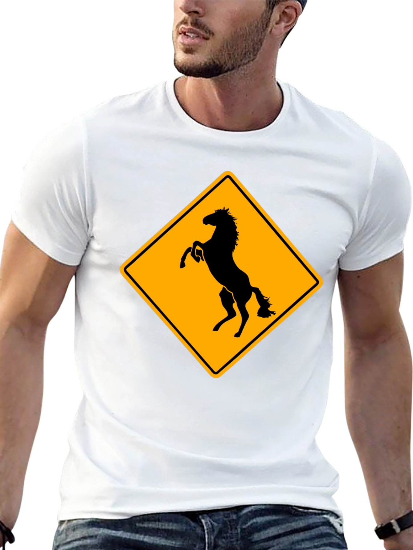 Black Horse Crossing T-Shirt - Black view 13