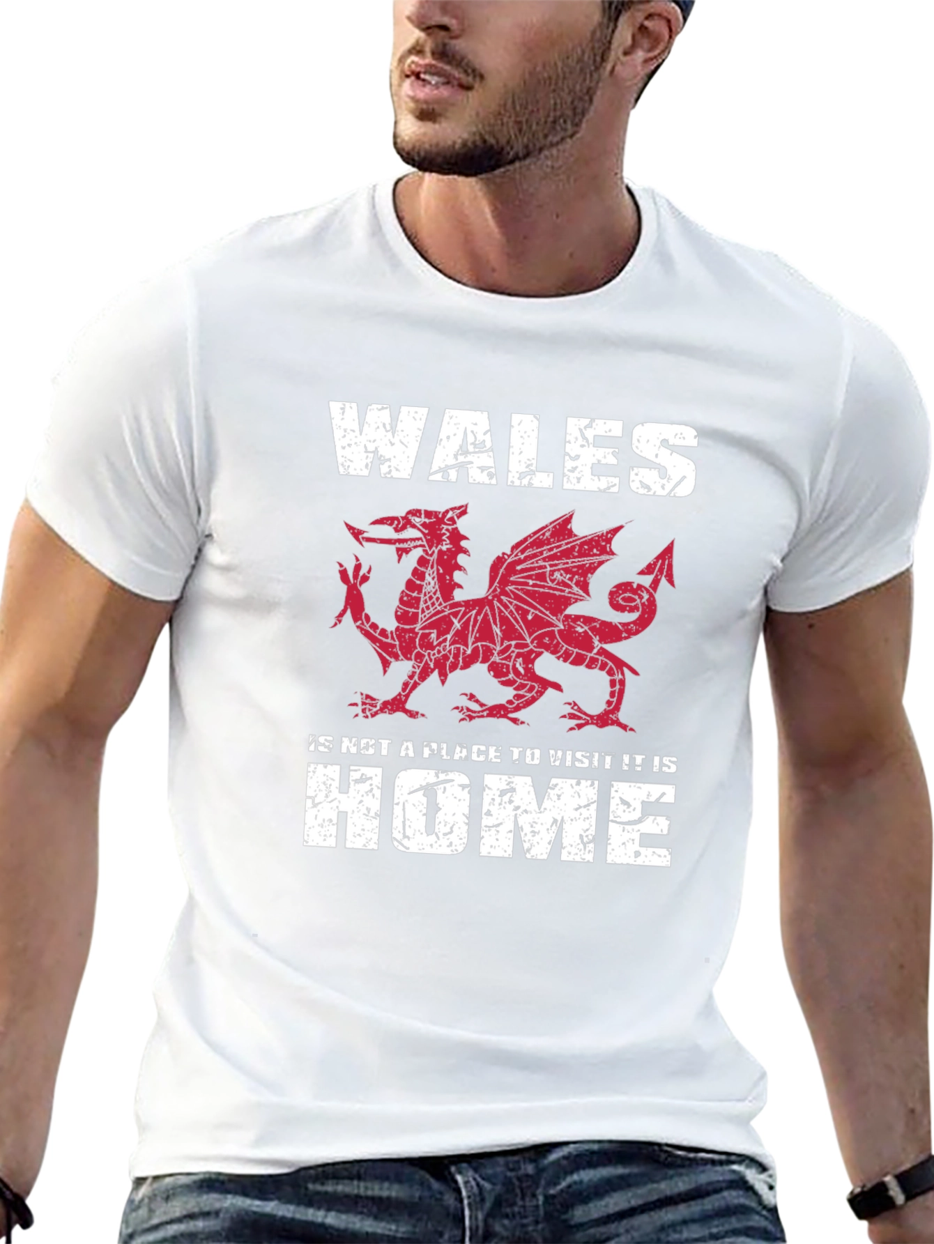 Wales Dragon Graphic T-Shirt - Welsh Pride Tee - 13