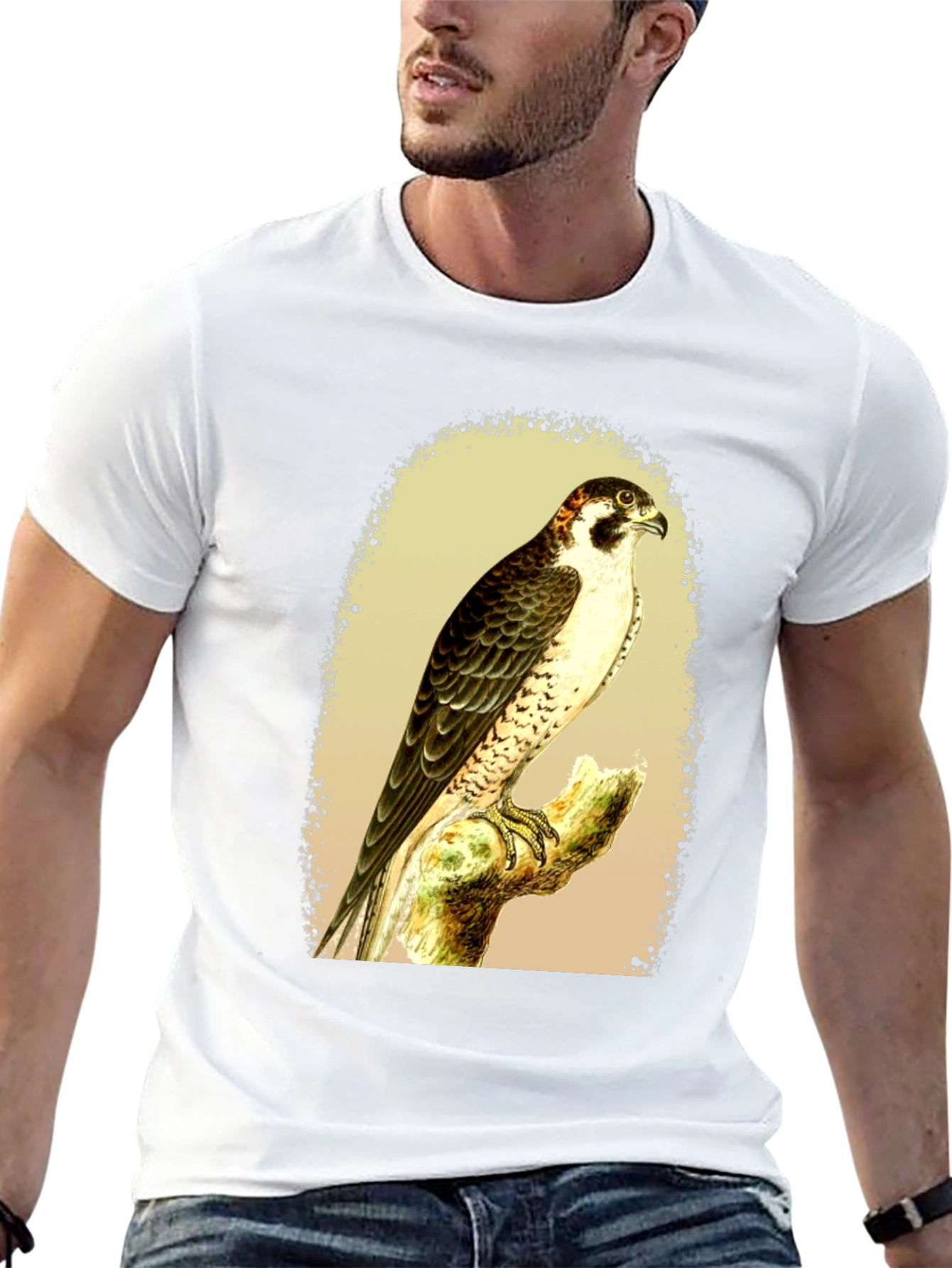 Black Falcon Graphic Tee - Vintage Bird Illustration T-Shirt view 13
