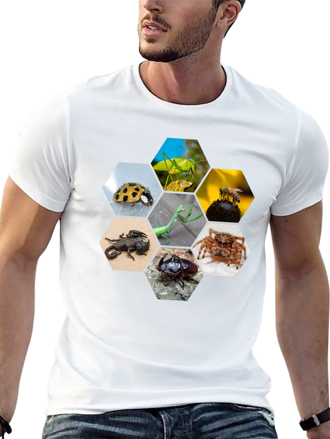 Black Insect Hexagon T-Shirt - Unique Nature Design view 13