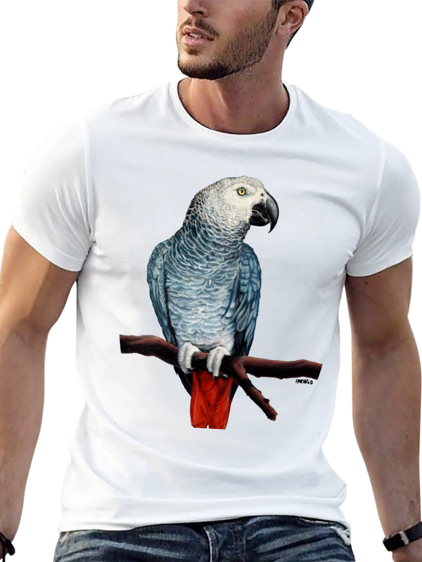 African Grey Parrot T-Shirt - 13
