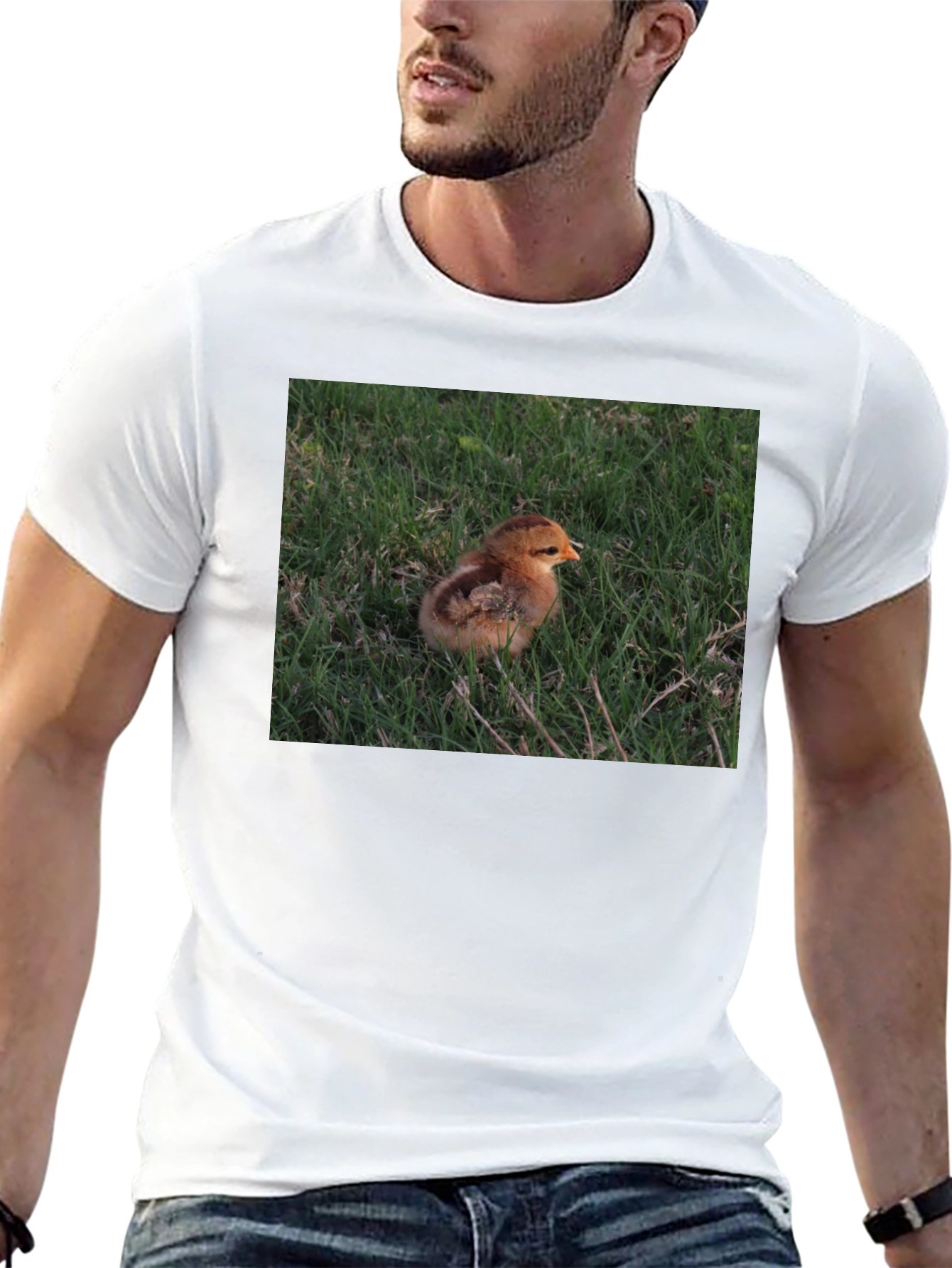 Black Cute Chick in Grass Graphic T-Shirt view 13