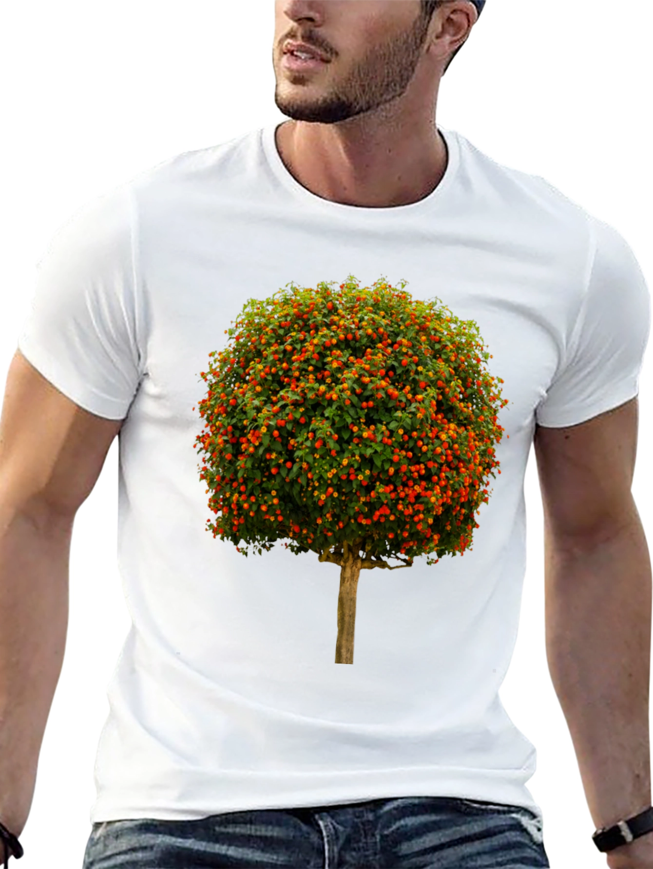 Black Botanical Tree Graphic T-Shirt view 13