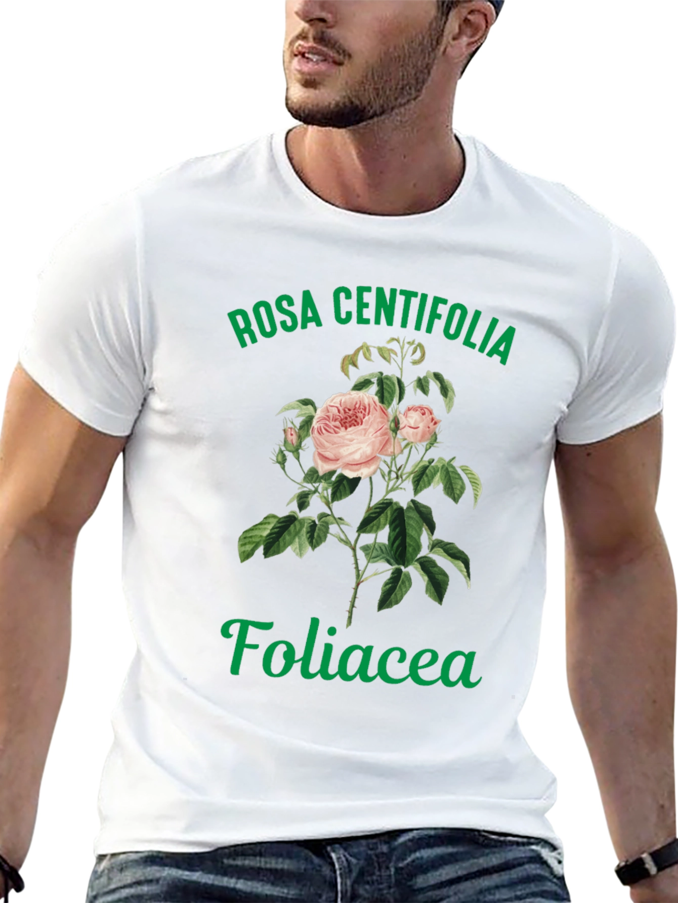 Black Rosa Centifolia Foliacea Graphic Tee view 13