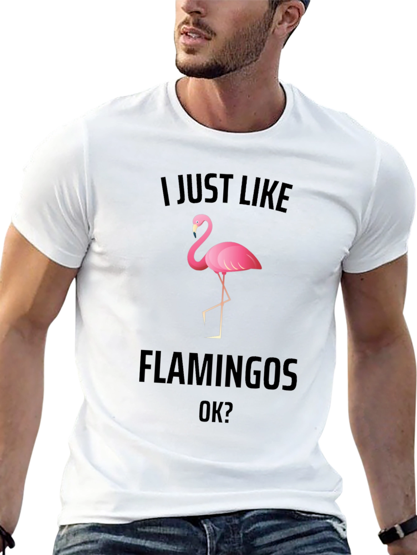 Black I Just Like Flamingos Graphic T-Shirt view 13