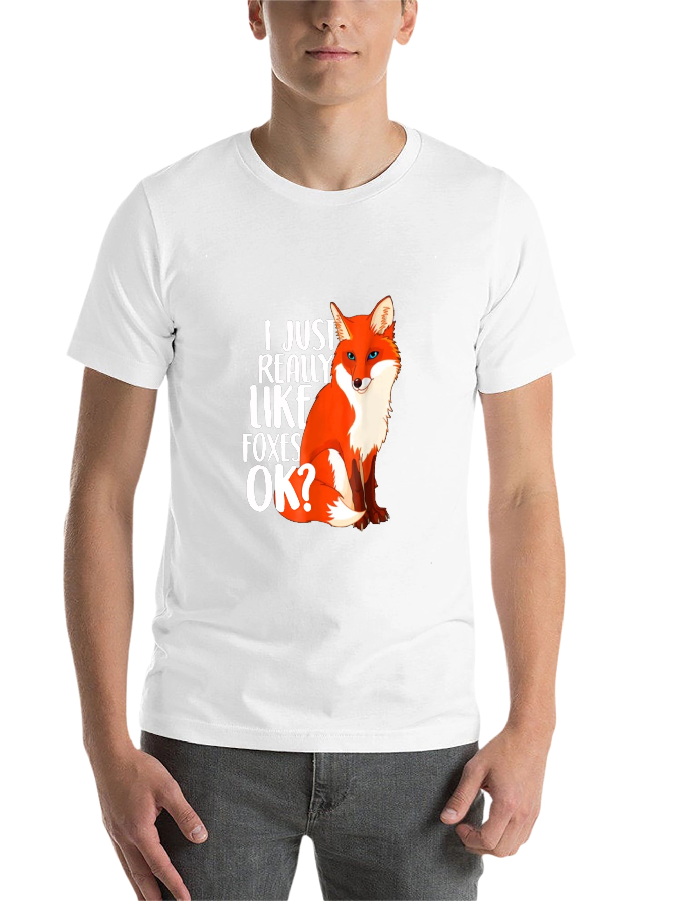 Black I Just Really Like Foxes OK? Graphic T-Shirt view 14