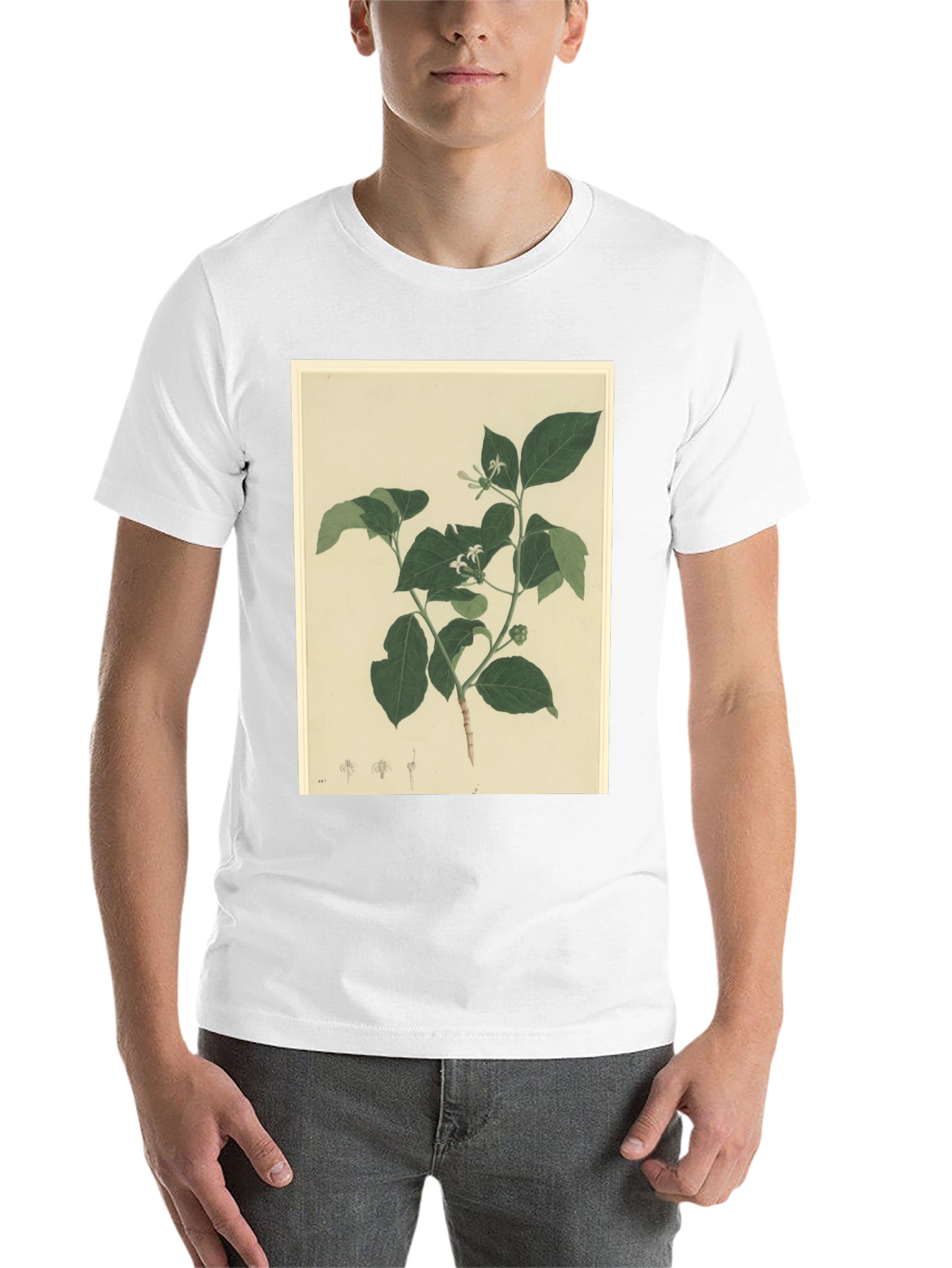 Black Botanical Print Black T-Shirt view 14