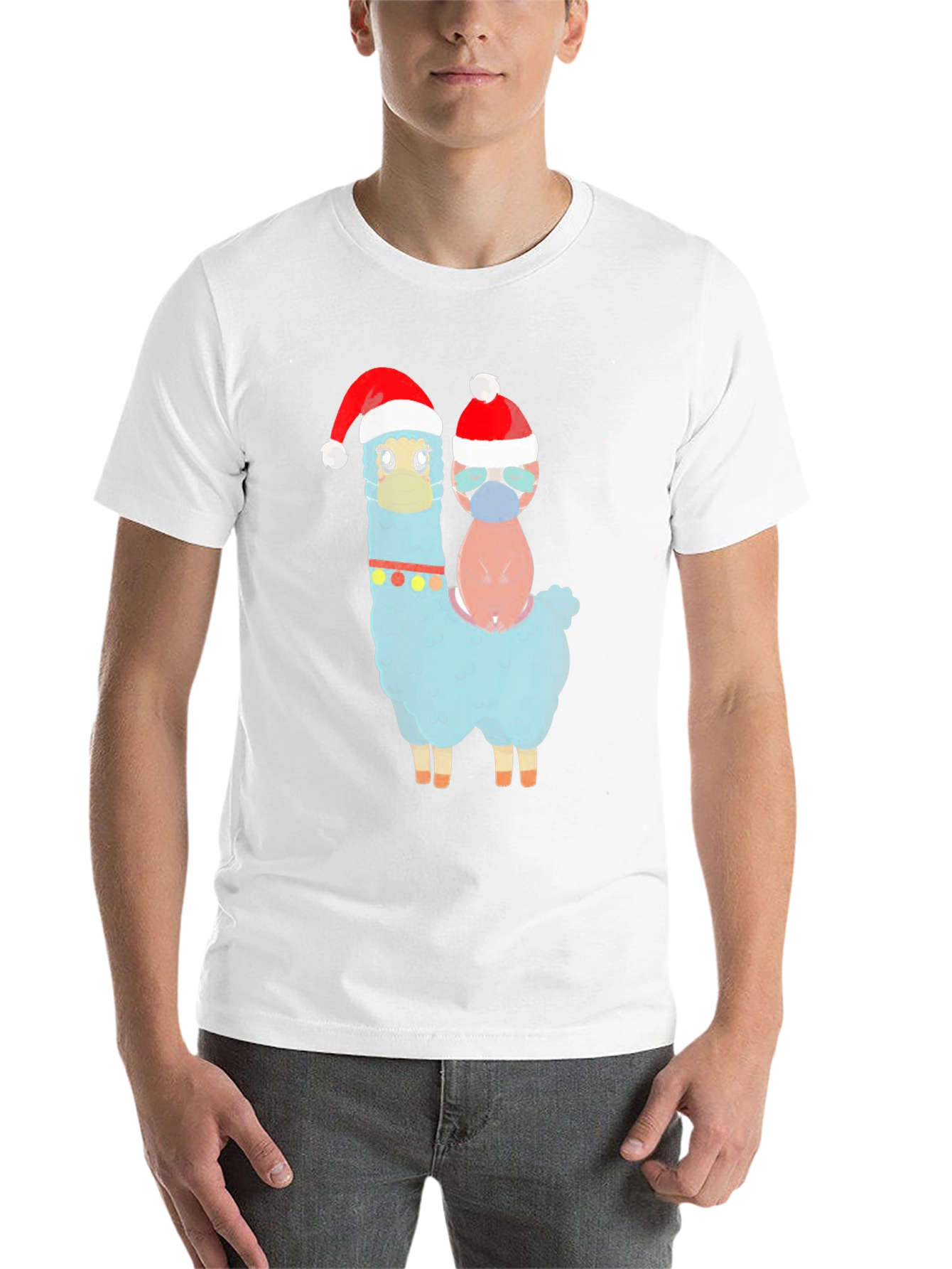 Festive Llama & Friend Christmas T-Shirt - 14