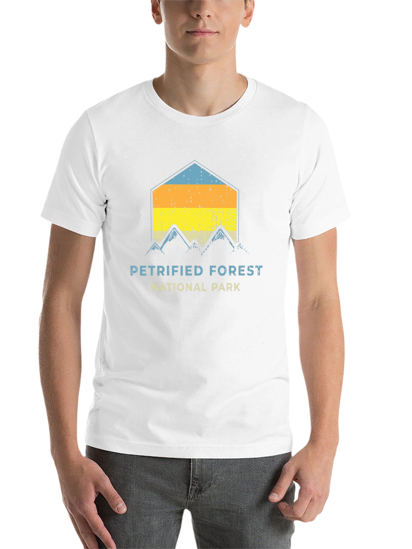 Black Petrified Forest National Park Graphic Tee view 14