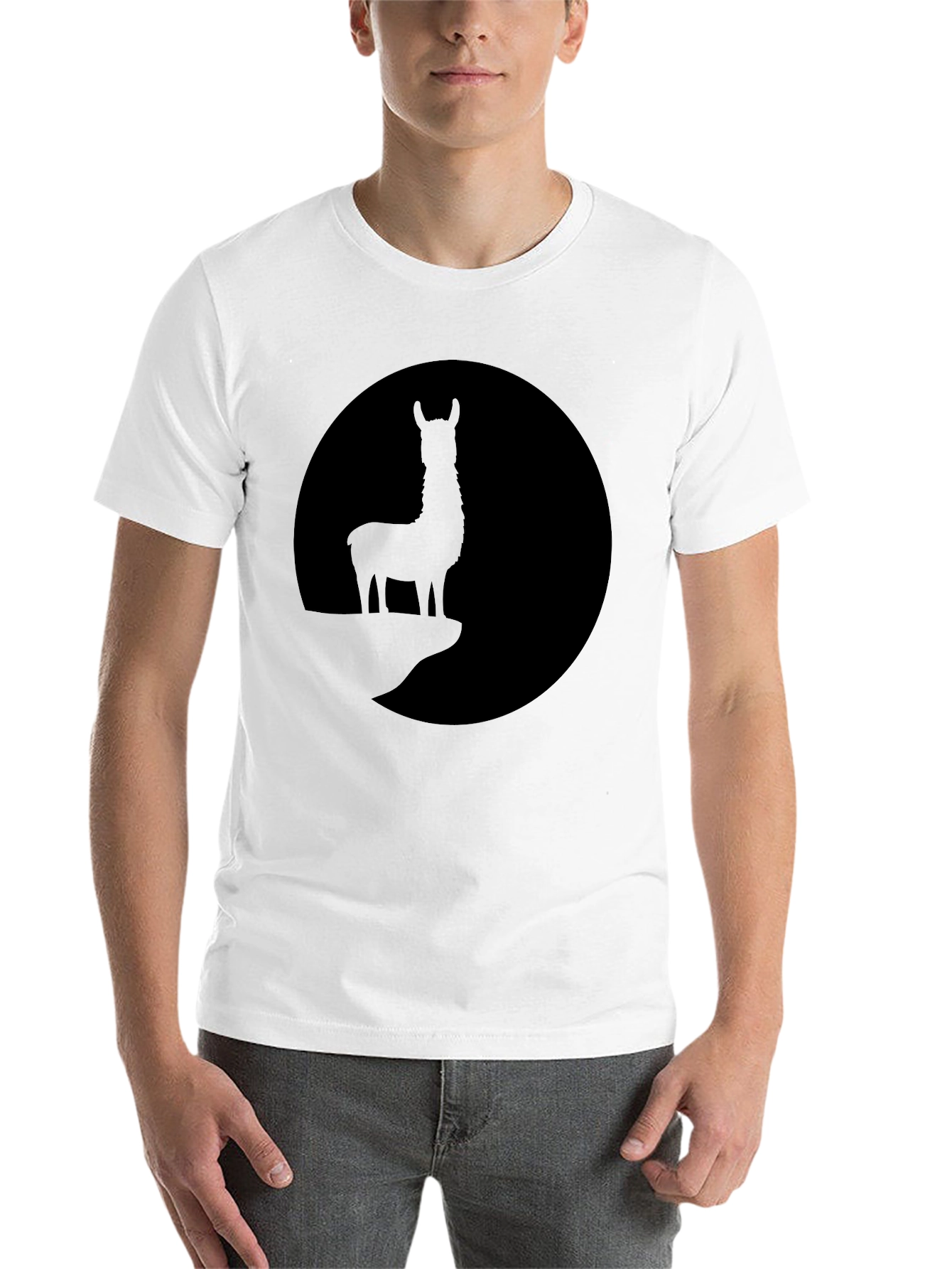 Black Llama Silhouette Graphic Tee - Black T-Shirt view 14