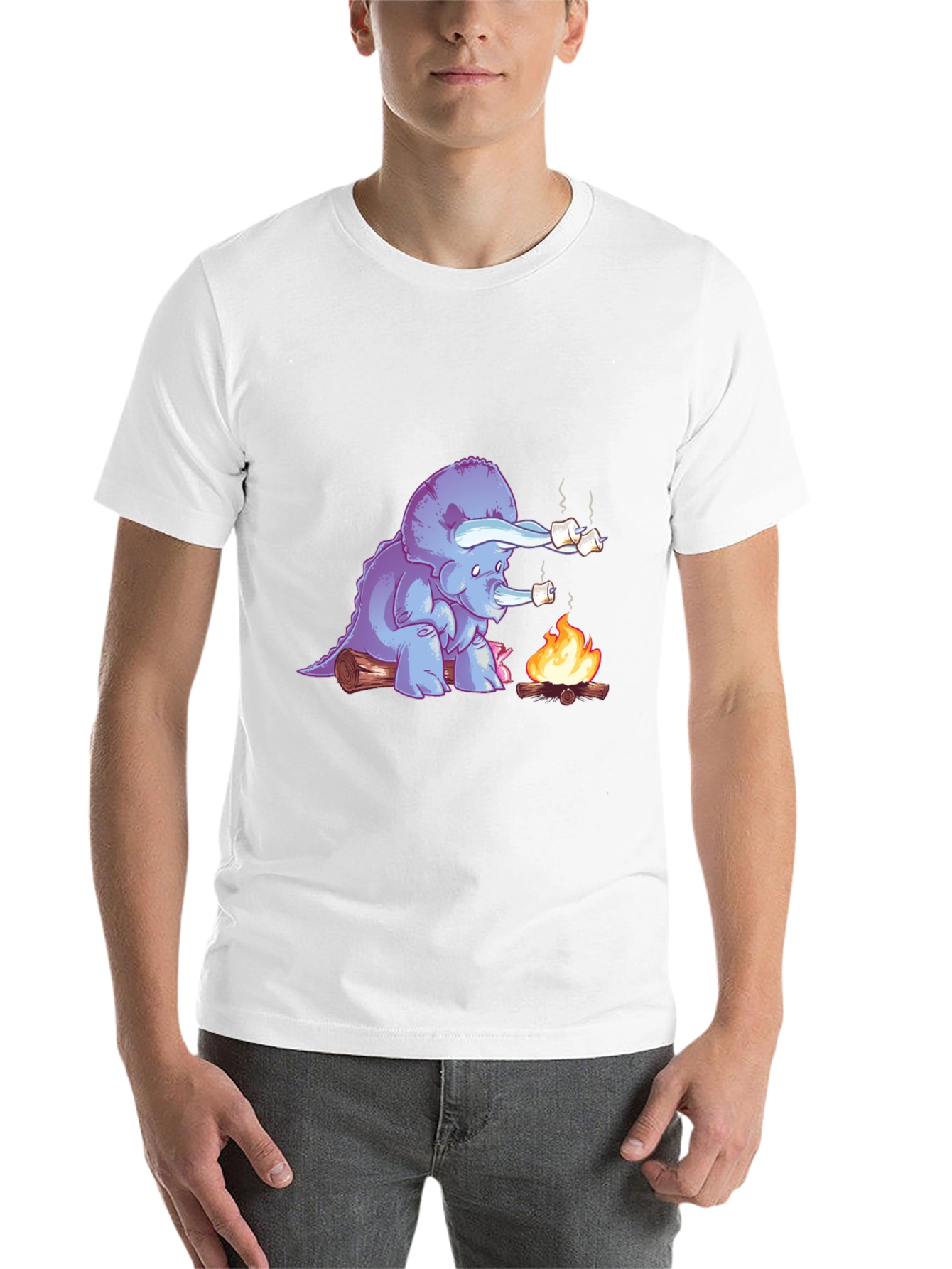 Black Dino Campfire T-Shirt - Marshmallow Roasting Triceratops  view 14