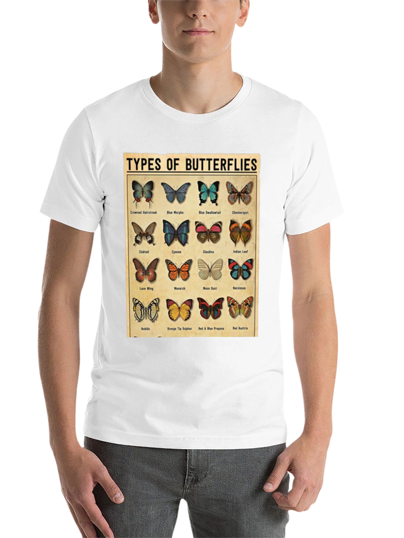 Black Butterfly Types Graphic T-Shirt view 14