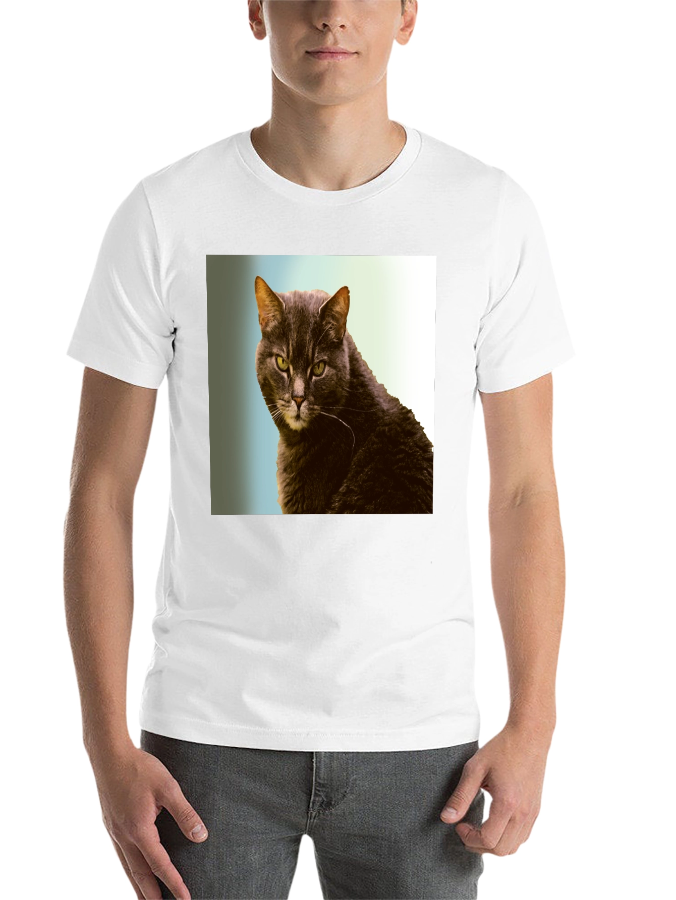 Black Cool Cat Graphic Tee - Black Cotton Shirt view 14