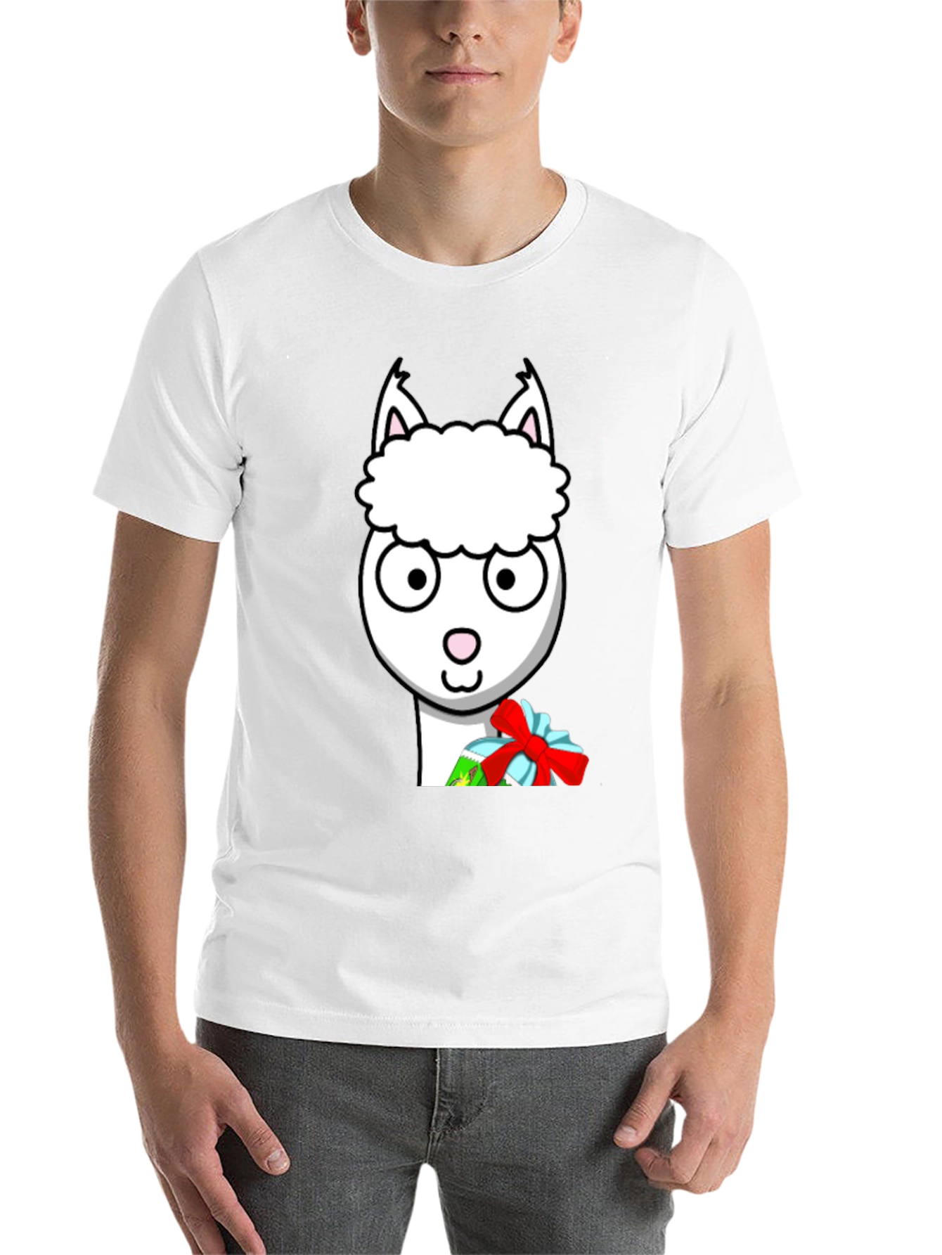 Alpaca Gift Tee - Cute Holiday Shirt - 14