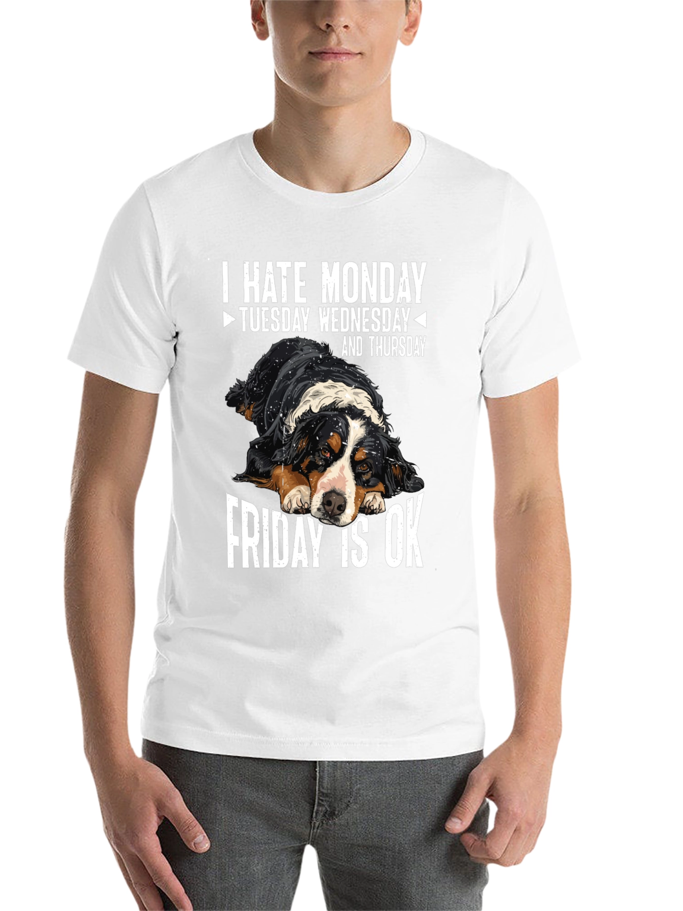 Black Funny Dog Lover T-Shirt: I Hate Monday, Friday is OK view 14