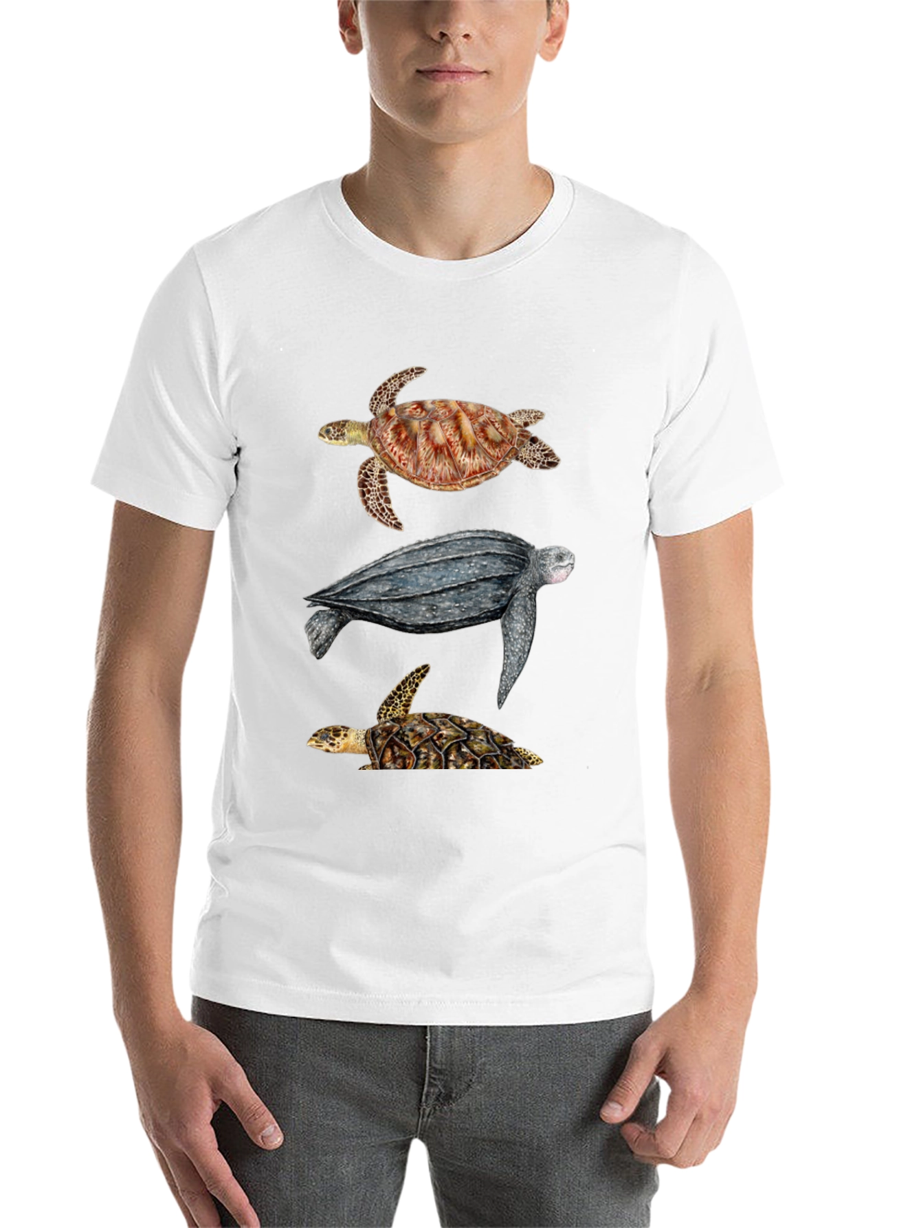 Black Turtle T-Shirt - Sea Life Graphic Tee view 14