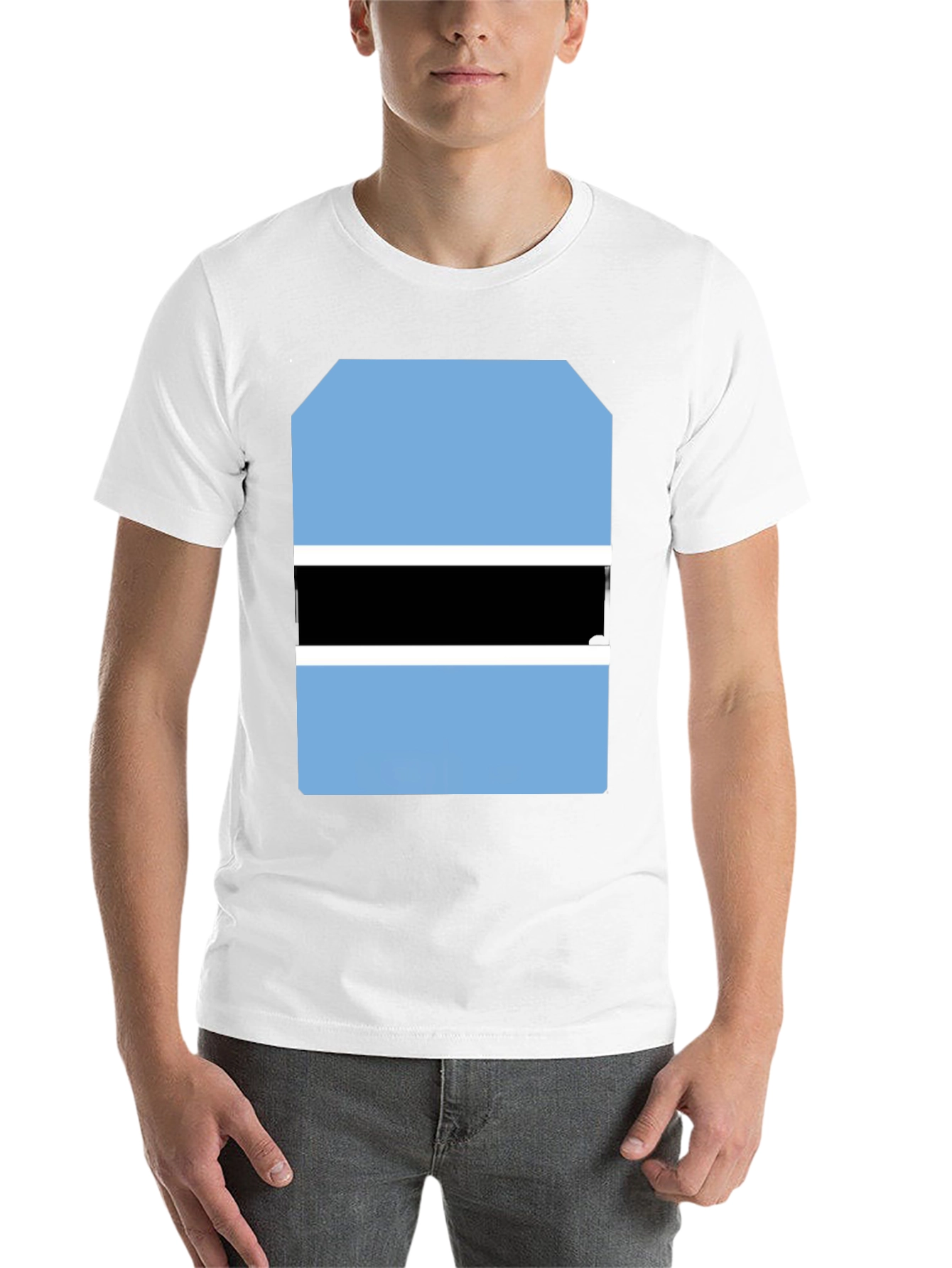 Black Botswana Flag Graphic Tee - Black Cotton T-Shirt view 14