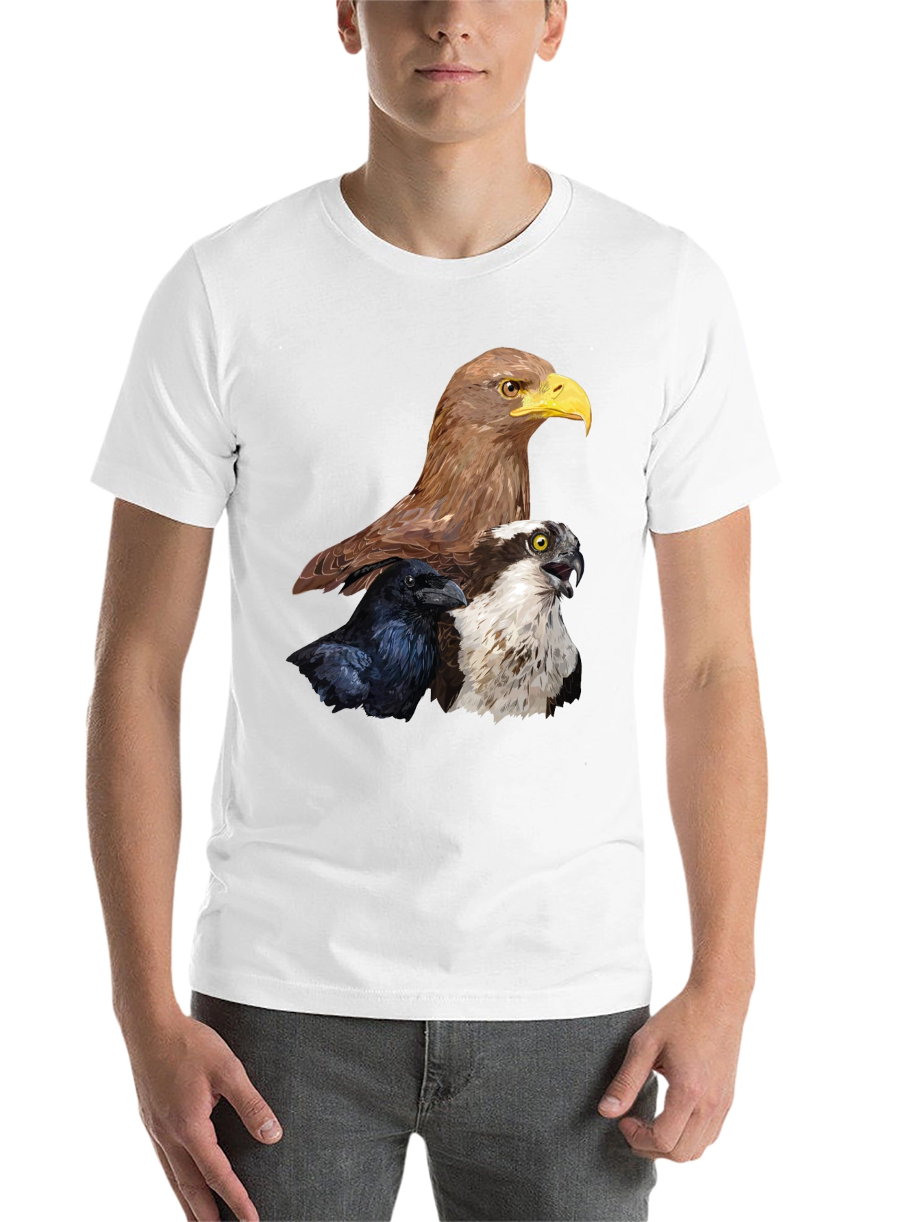 Black Men's Eagle, Raven, Osprey Graphic Print T-Shirt view 14