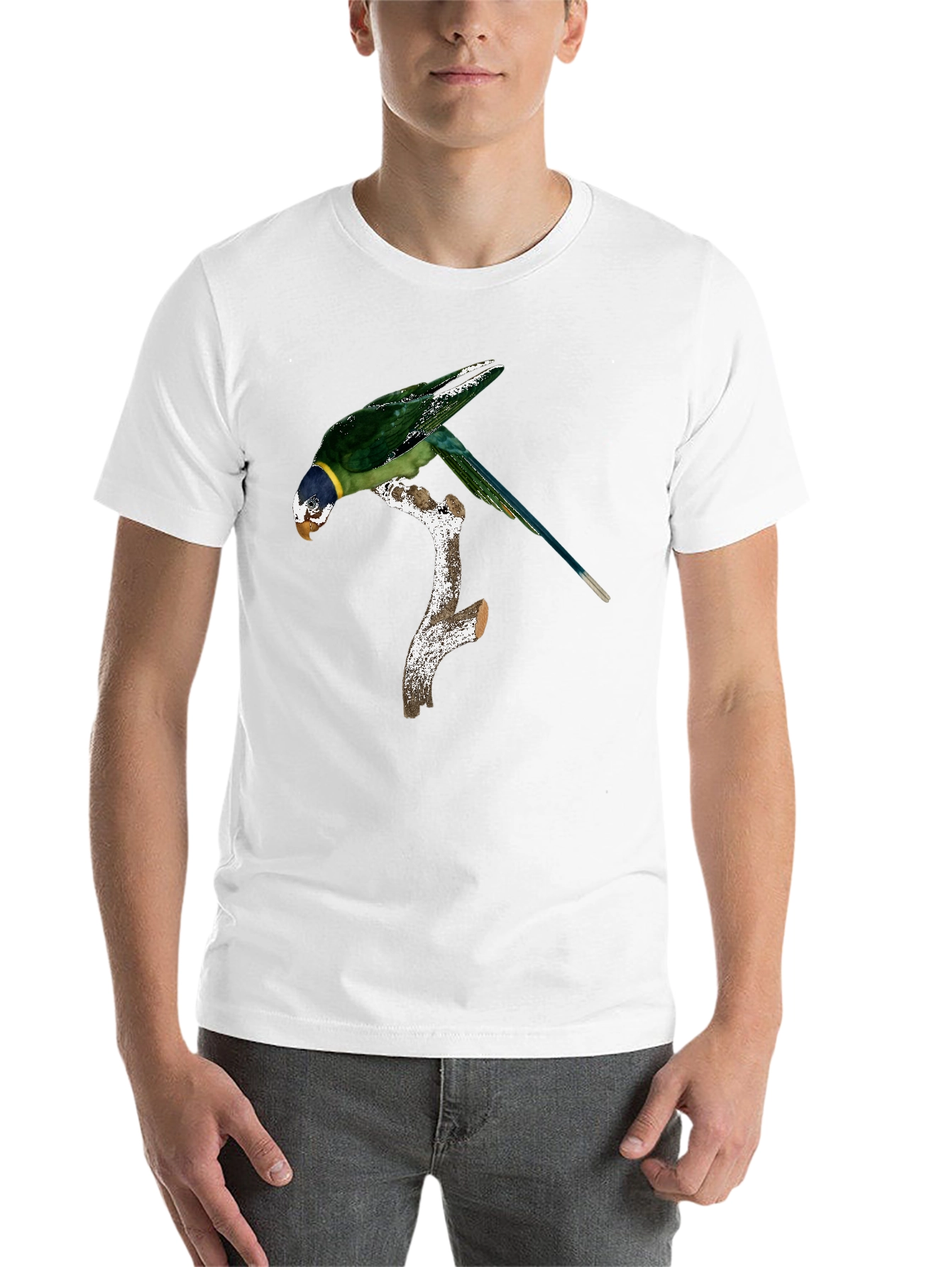 Black Parrot on Branch Graphic Tee - Black Cotton Blend Shirt view 14
