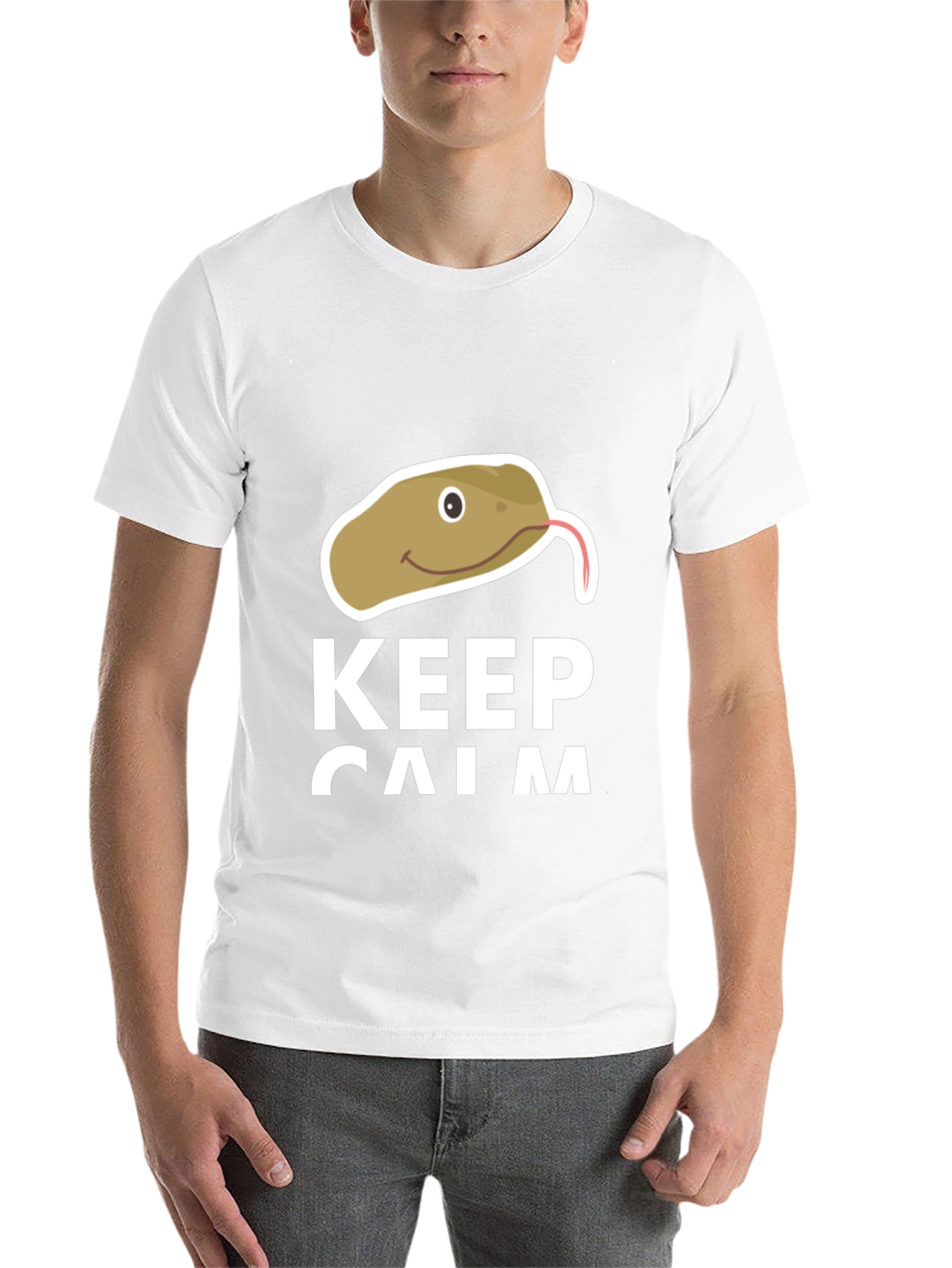 Black Keep Calm Snake T-Shirt - Funny Novelty Tee view 14