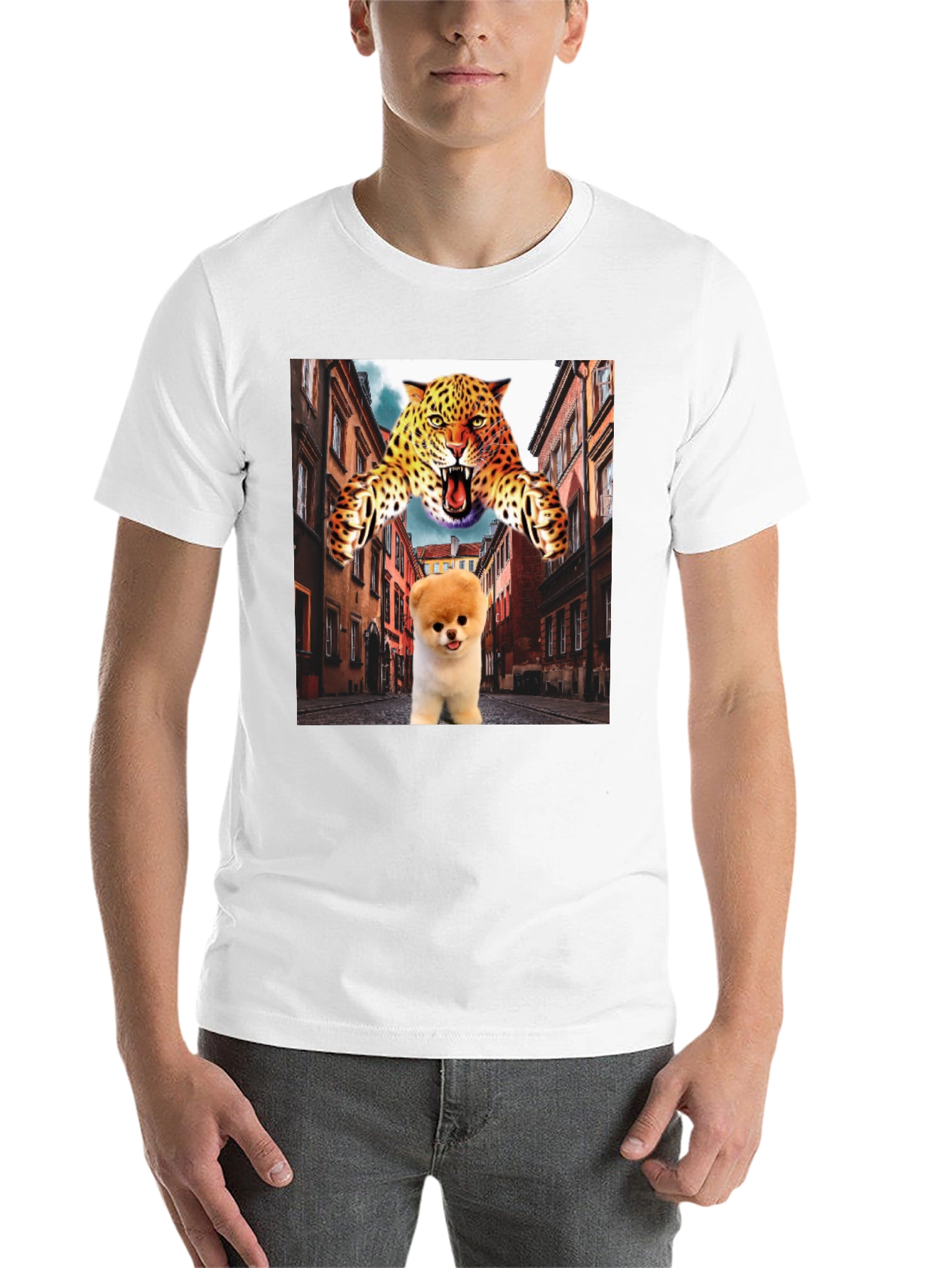 Black Novelty Graphic T-Shirt: Leopard and Pomeranian Design view 14