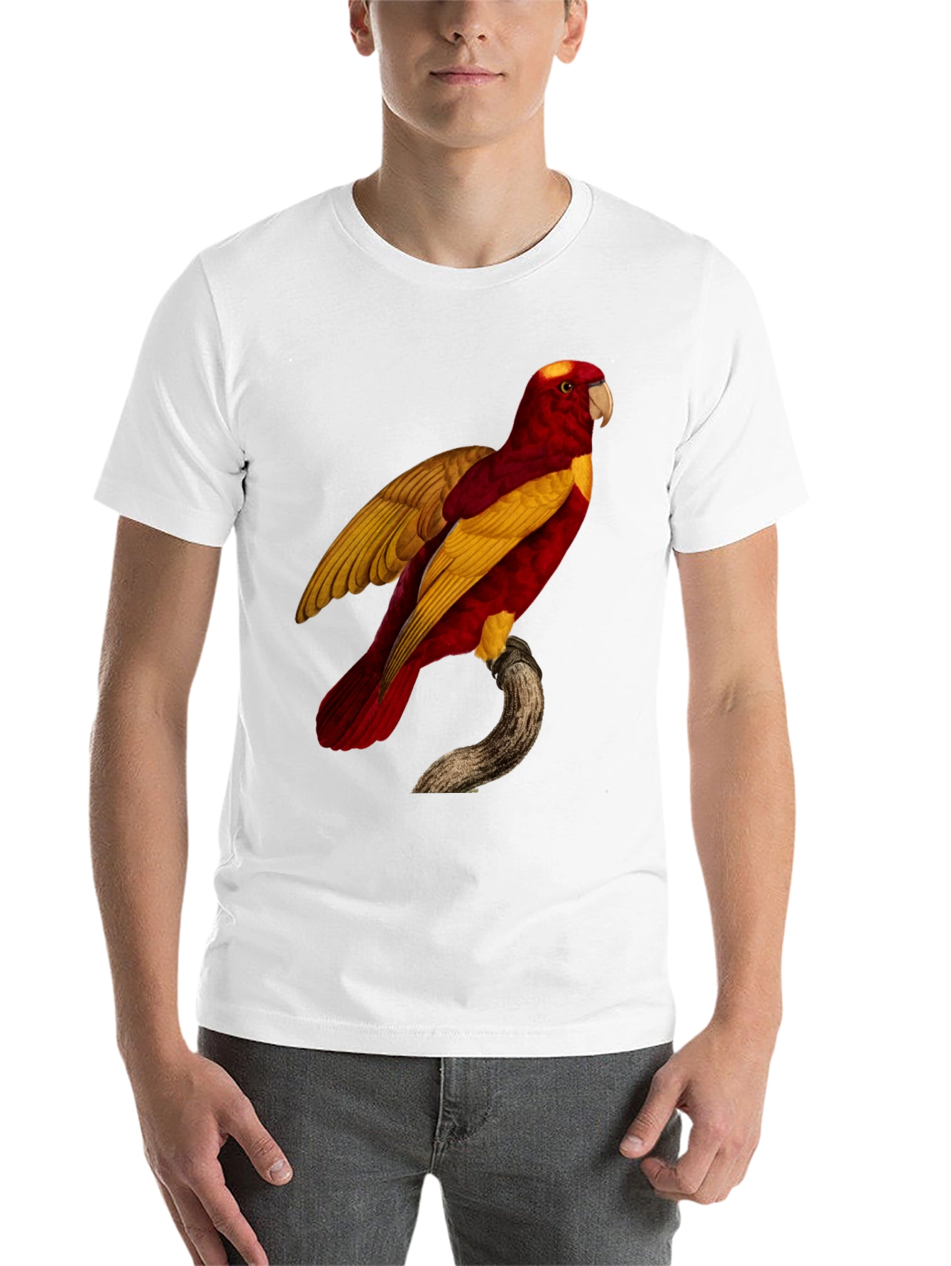Black Exotic Parrot Graphic Tee view 14