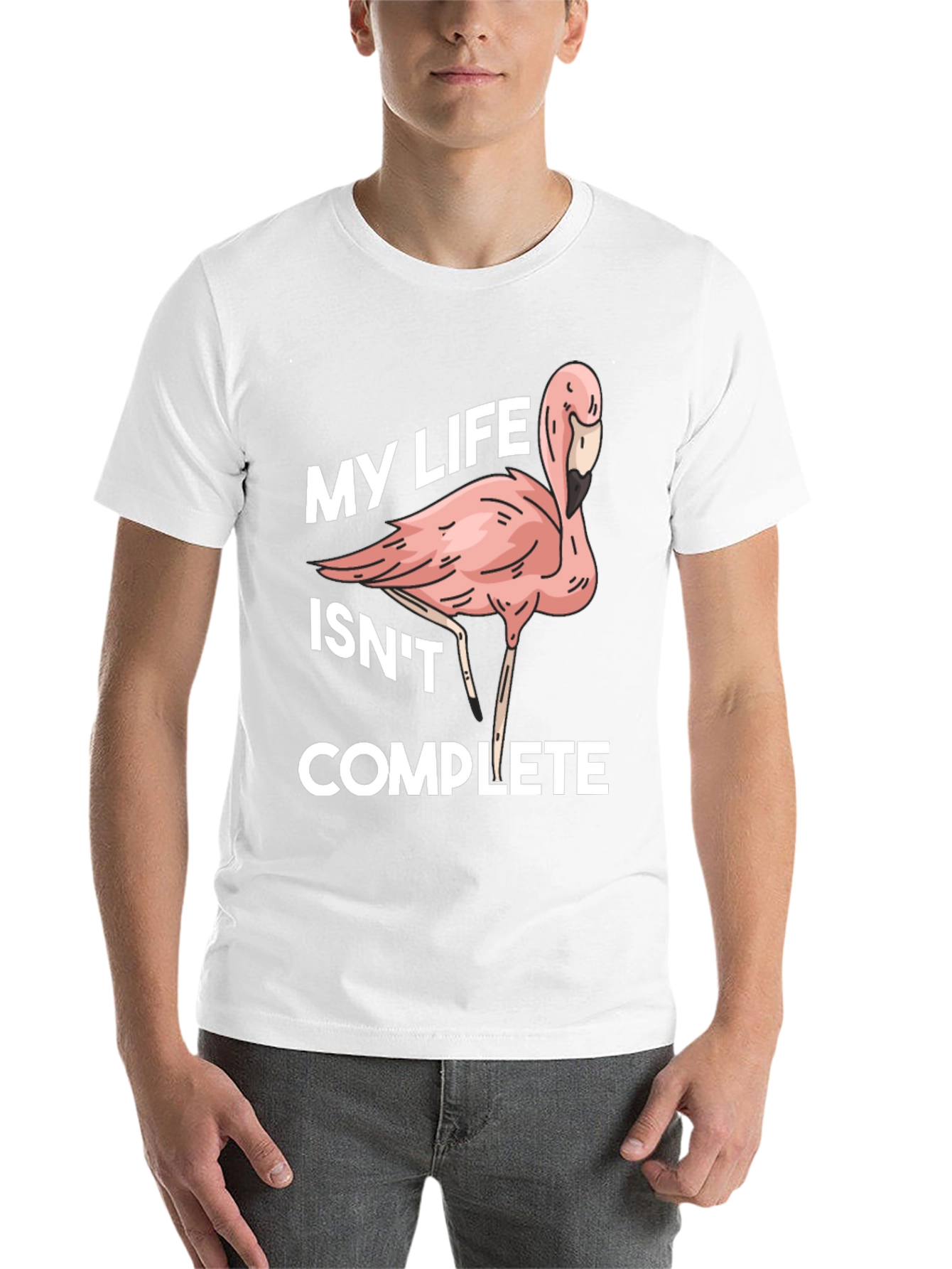 Black Flamingo Life Funny Graphic T-Shirt view 14