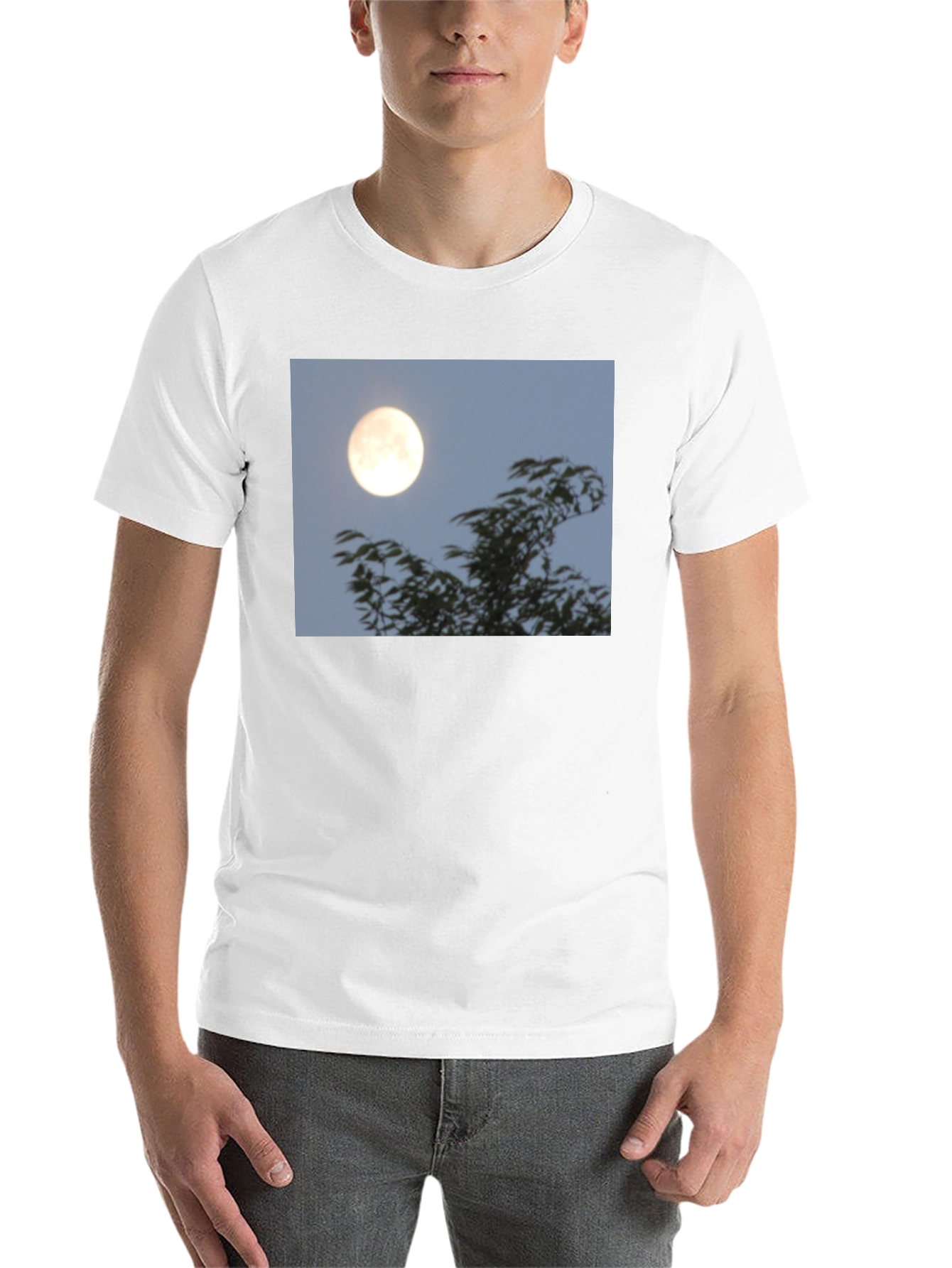 Black Moonlit Trees Graphic Tee - Black Cotton T-Shirt view 14