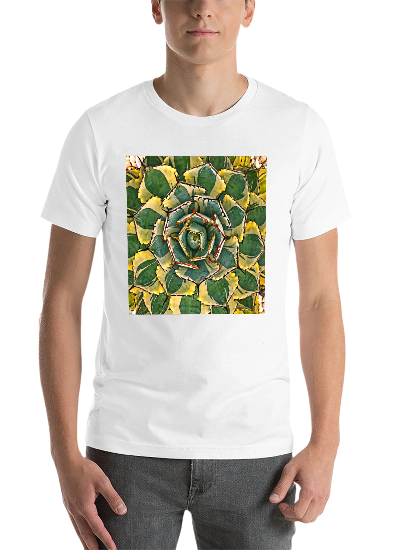 Black Agave Plant Graphic T-Shirt - Black Cotton Tee view 14