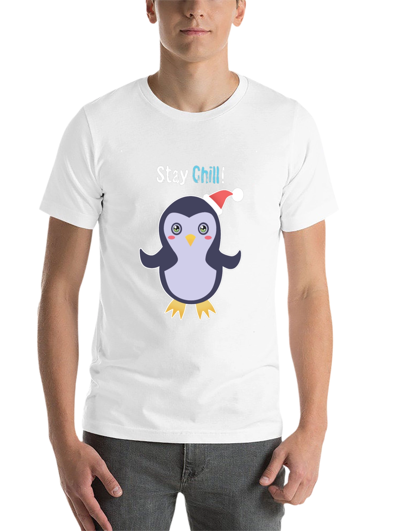 Black Stay Chill Penguin Holiday T-Shirt view 14