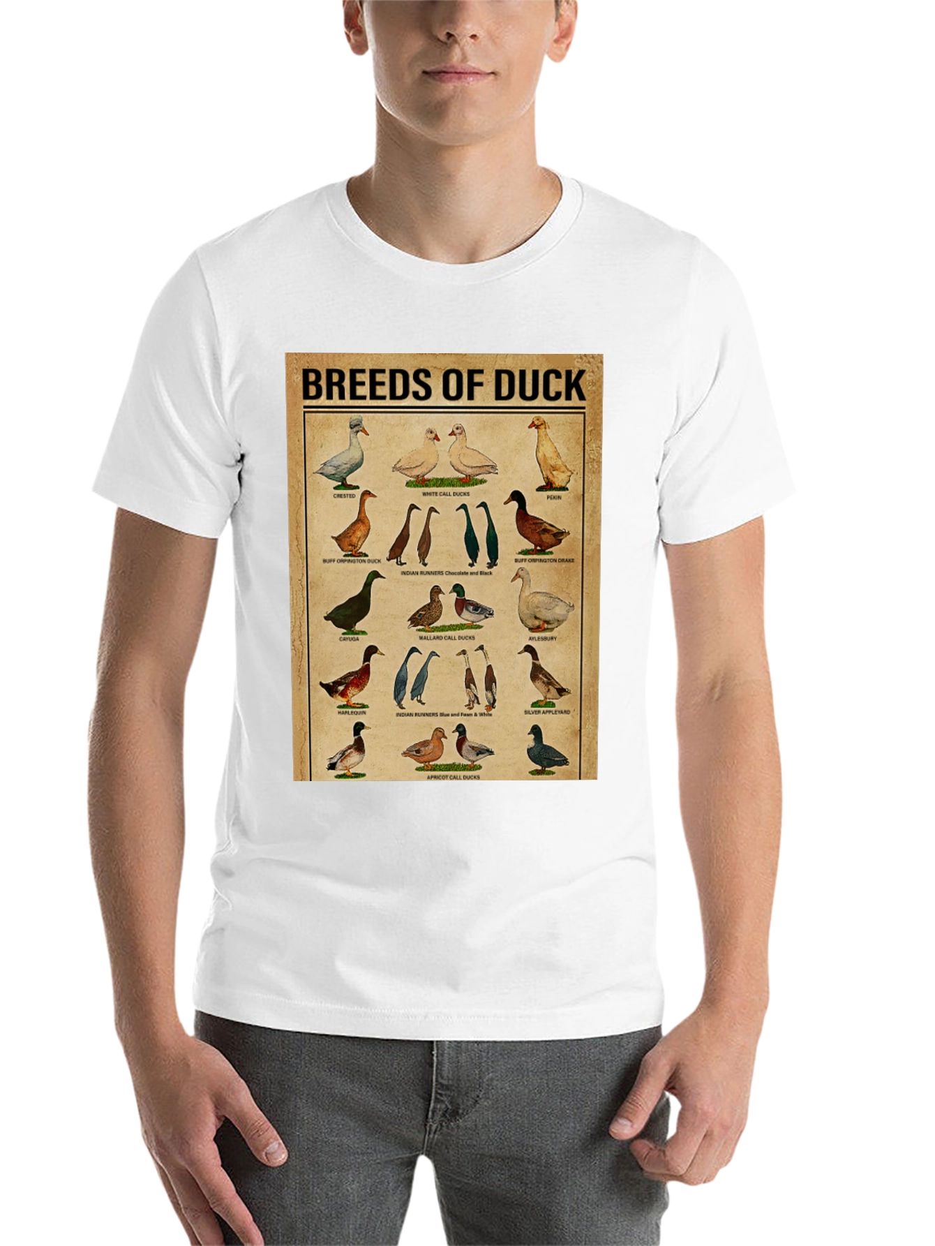 Black Breeds of Duck T-Shirt - Bird Lover Gift view 14
