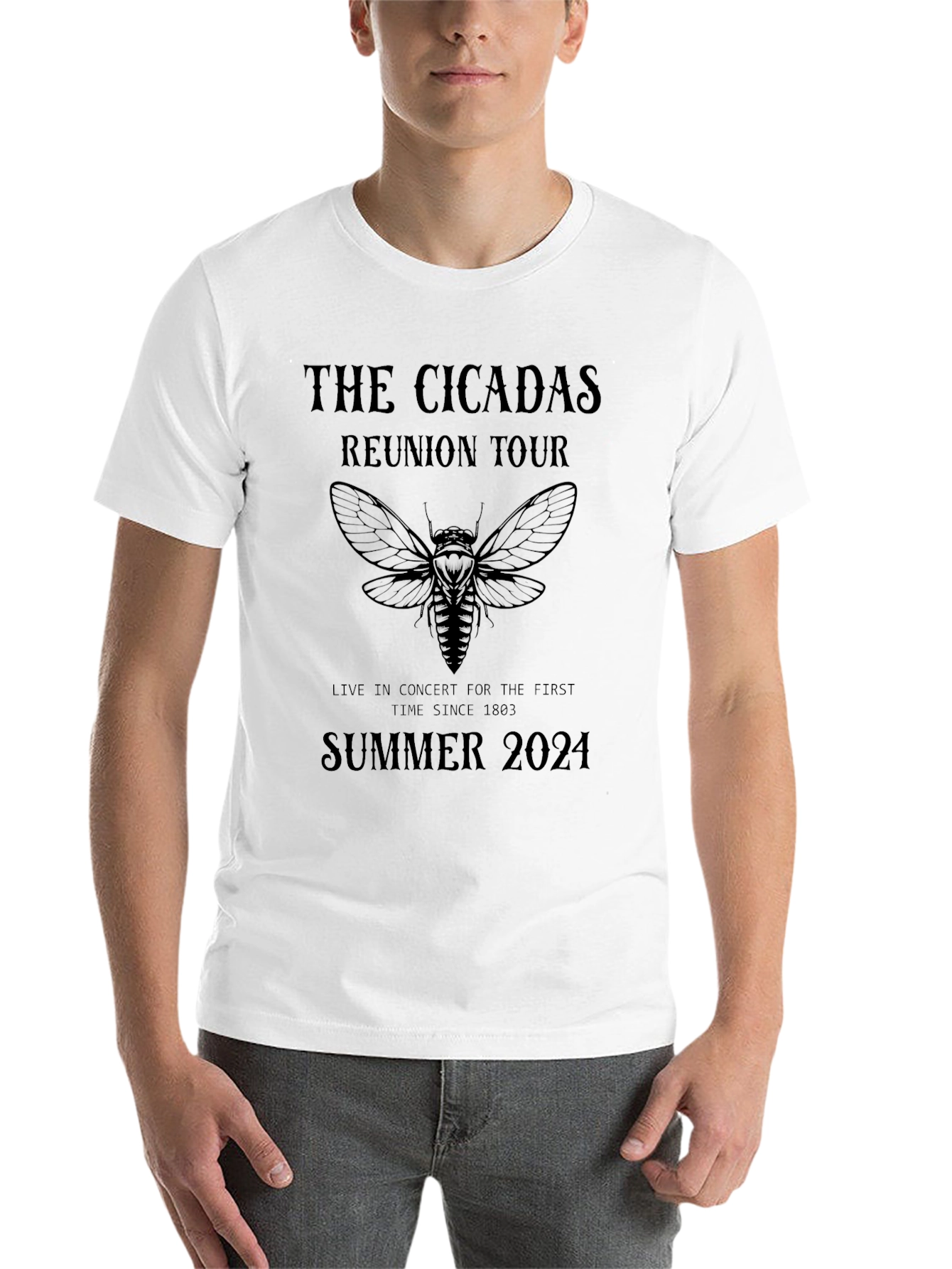 Cicadas Reunion Tour 2024 Black T-Shirt - 14
