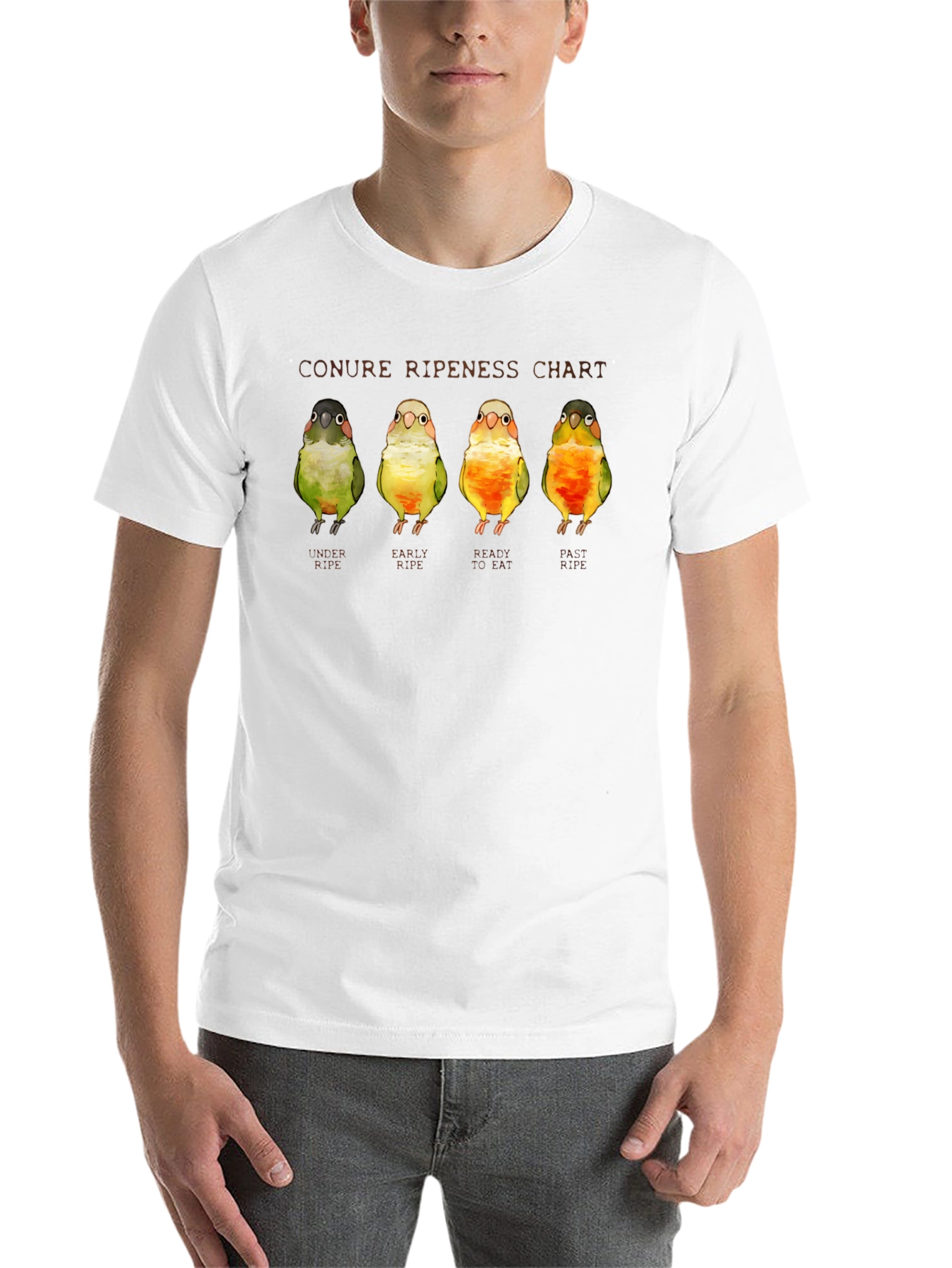 Black Conure Ripeness Chart Graphic T-Shirt view 14