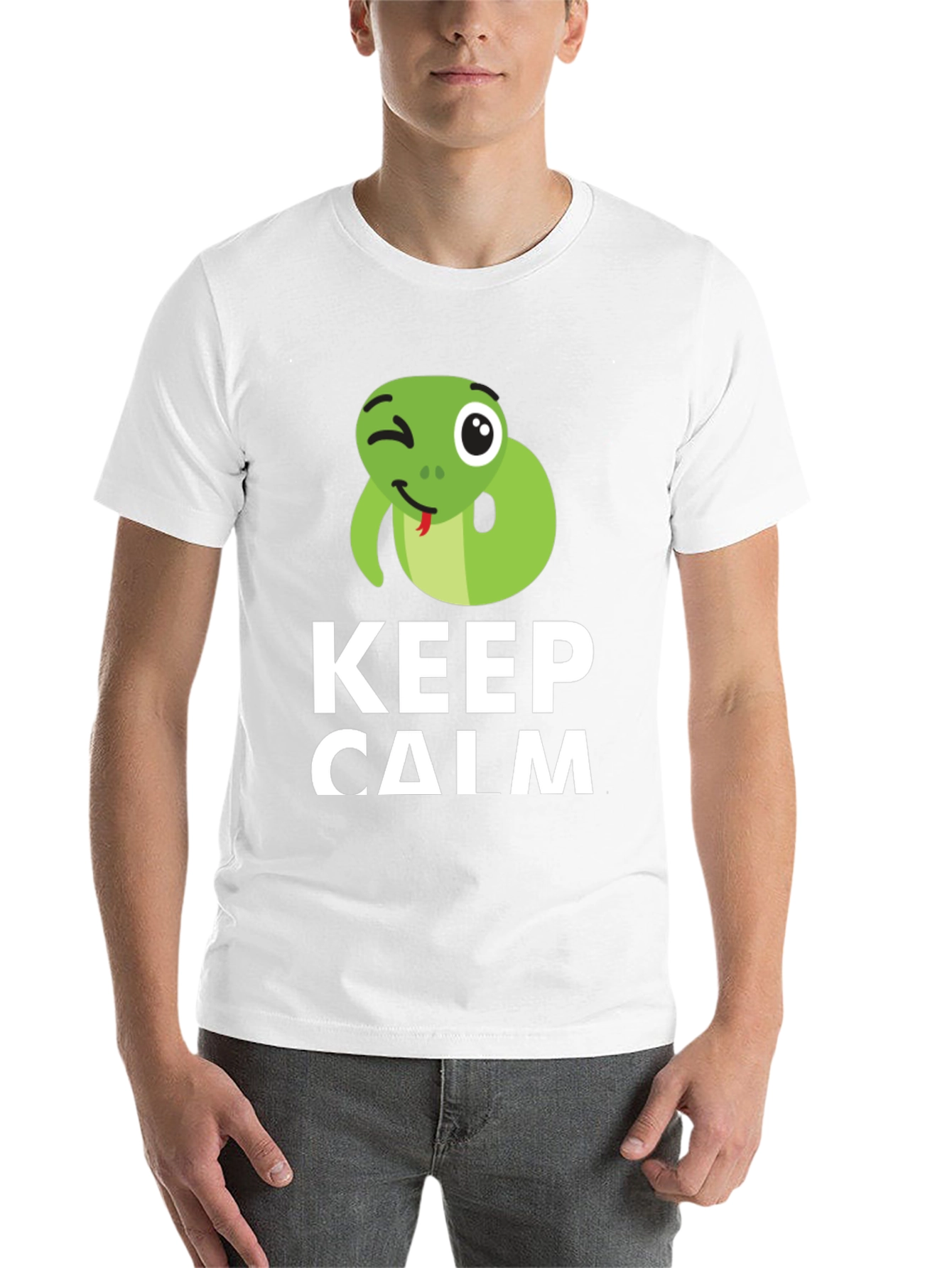 Black Keep Calm Snake Tee - Funny Graphic T-Shirt view 14