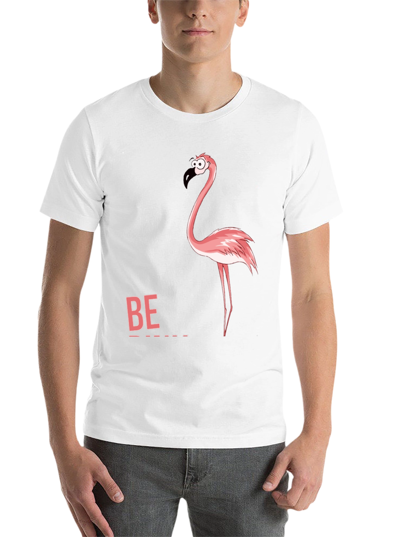 Black Funny Flamingo Graphic Tee - "Be" Shirt view 14