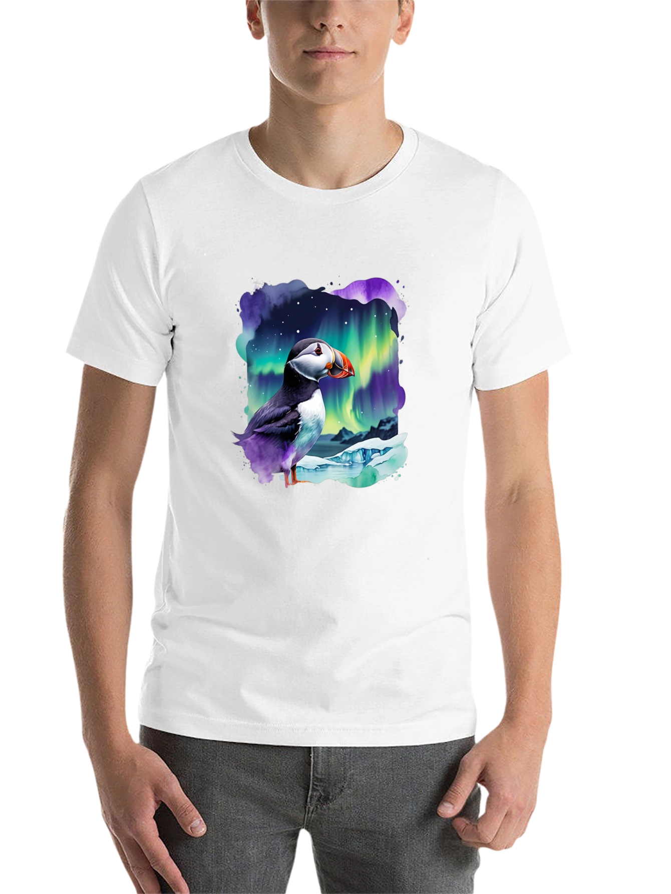 Puffin Aurora T-Shirt - Northern Lights Design - 14