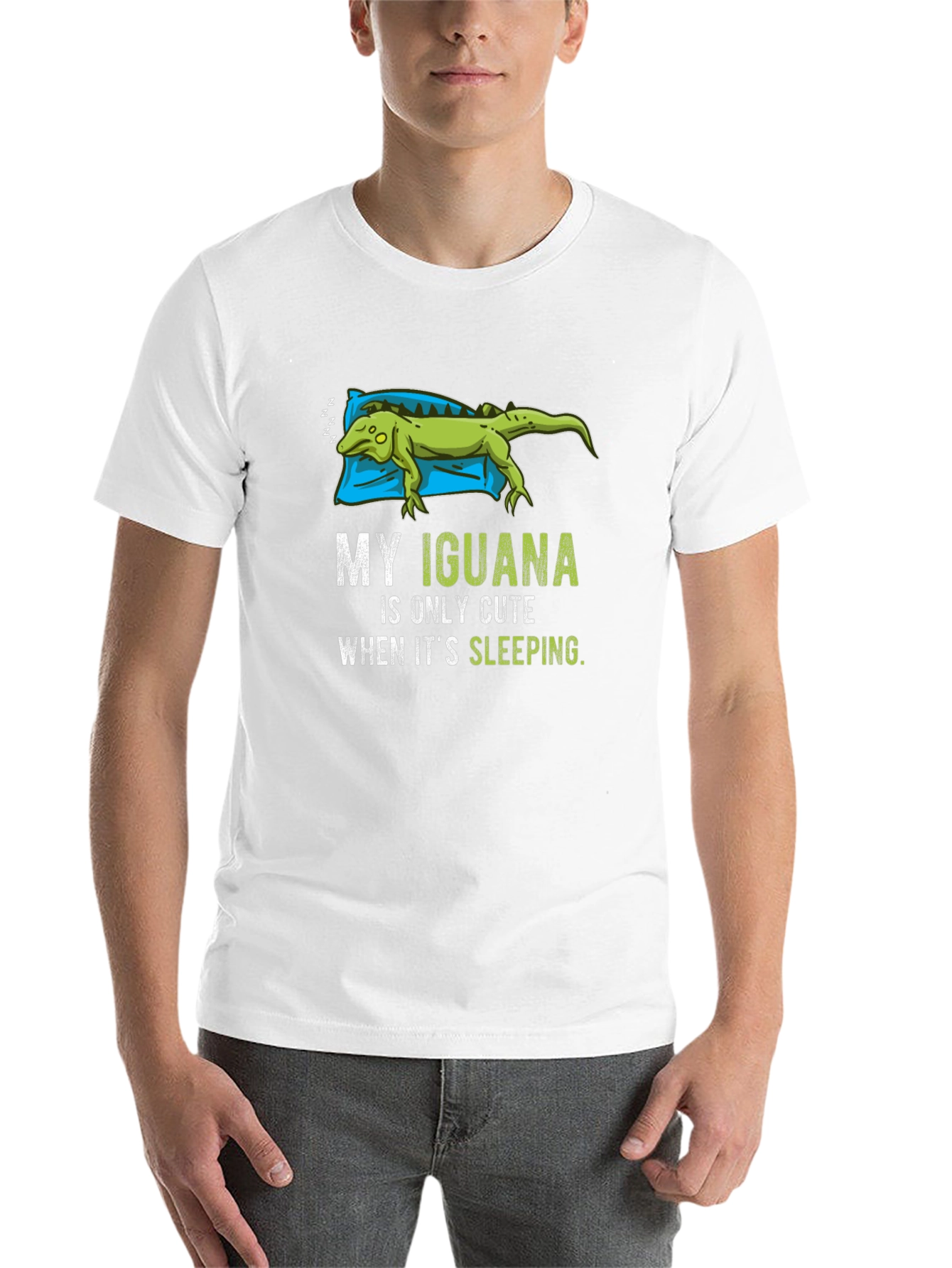 Black Funny Iguana Sleeping T-Shirt view 14