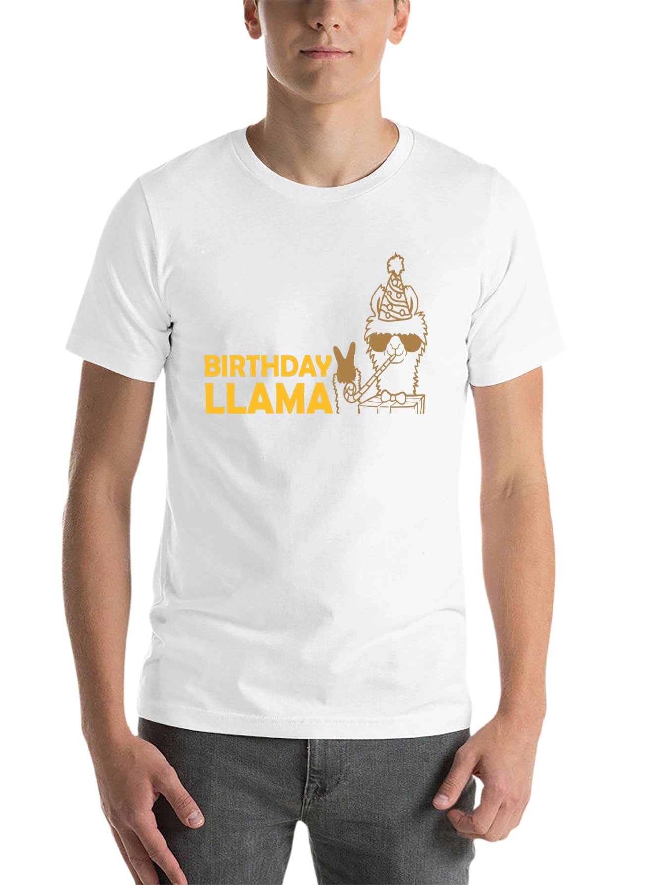 Black Birthday Llama T-Shirt - Party Animal Tee view 14
